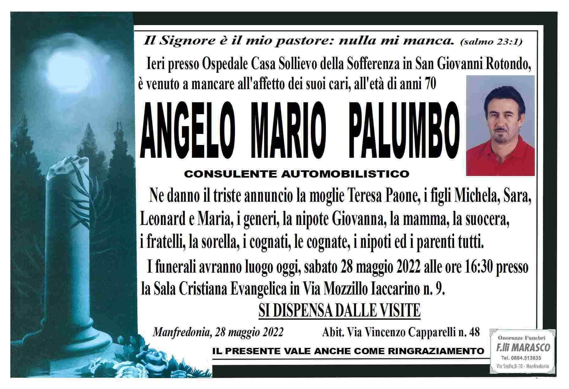 Angelo Mario Palumbo