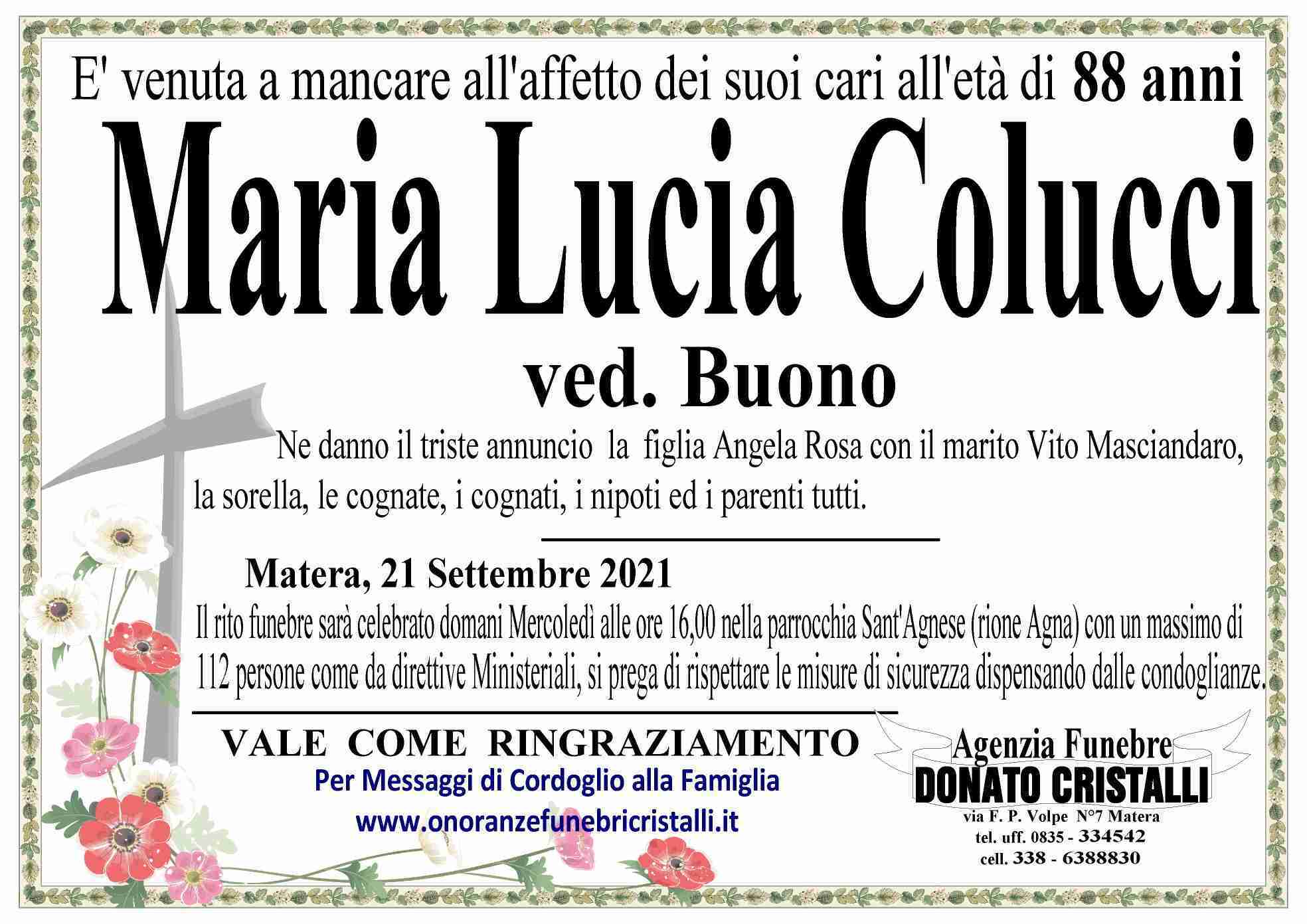 Maria Lucia Colucci