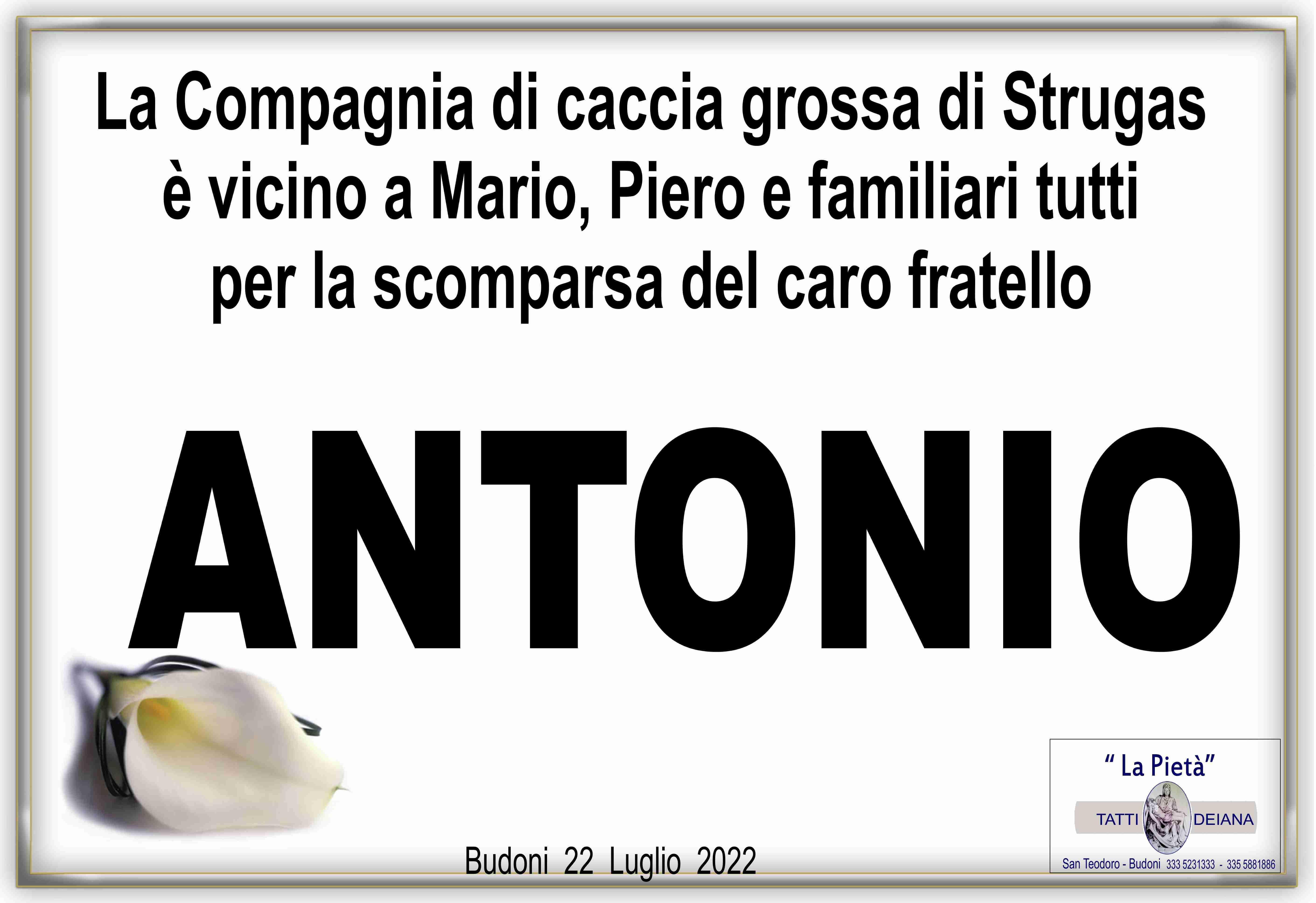 Antonio Flore