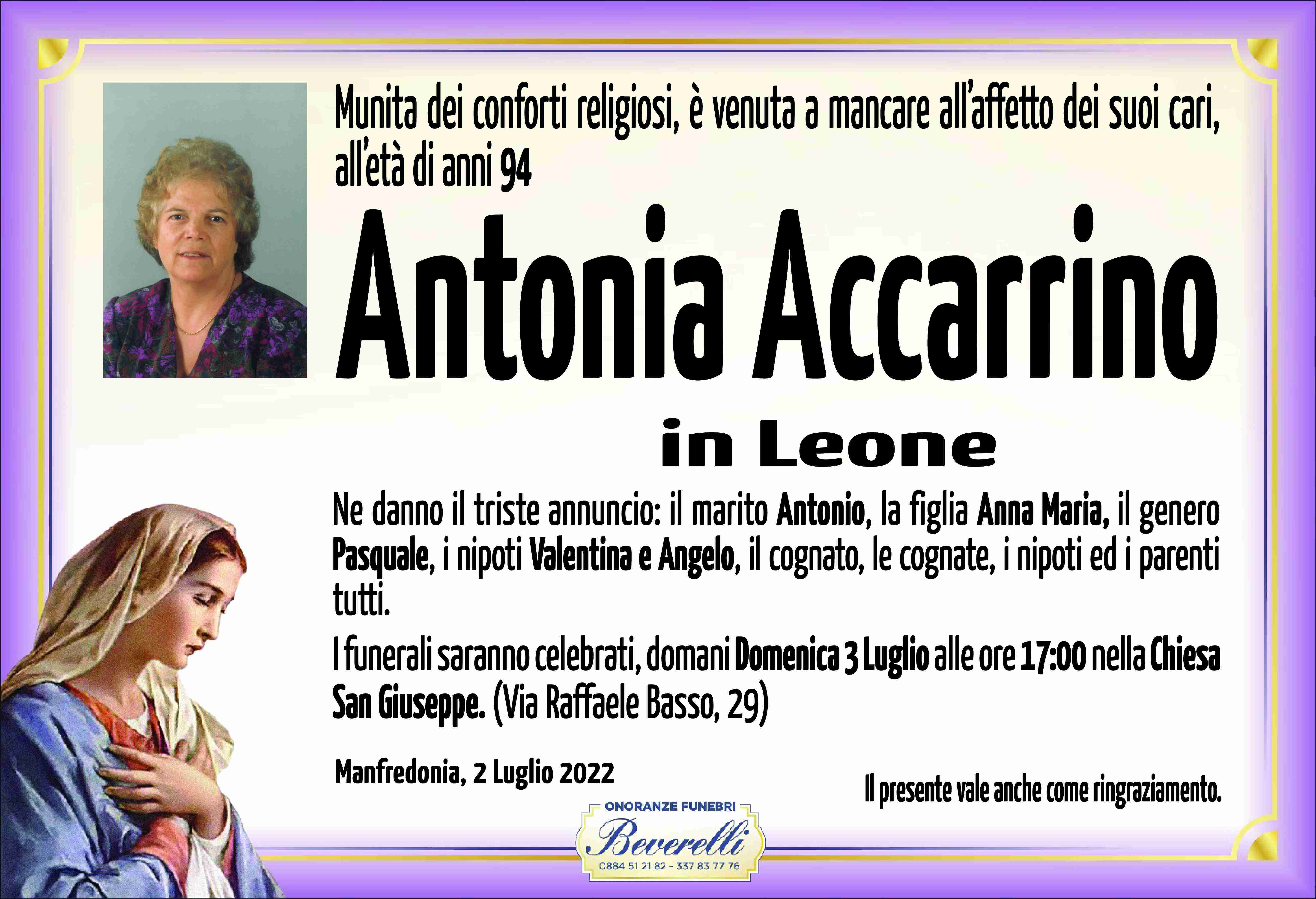 Antonia Accarrino