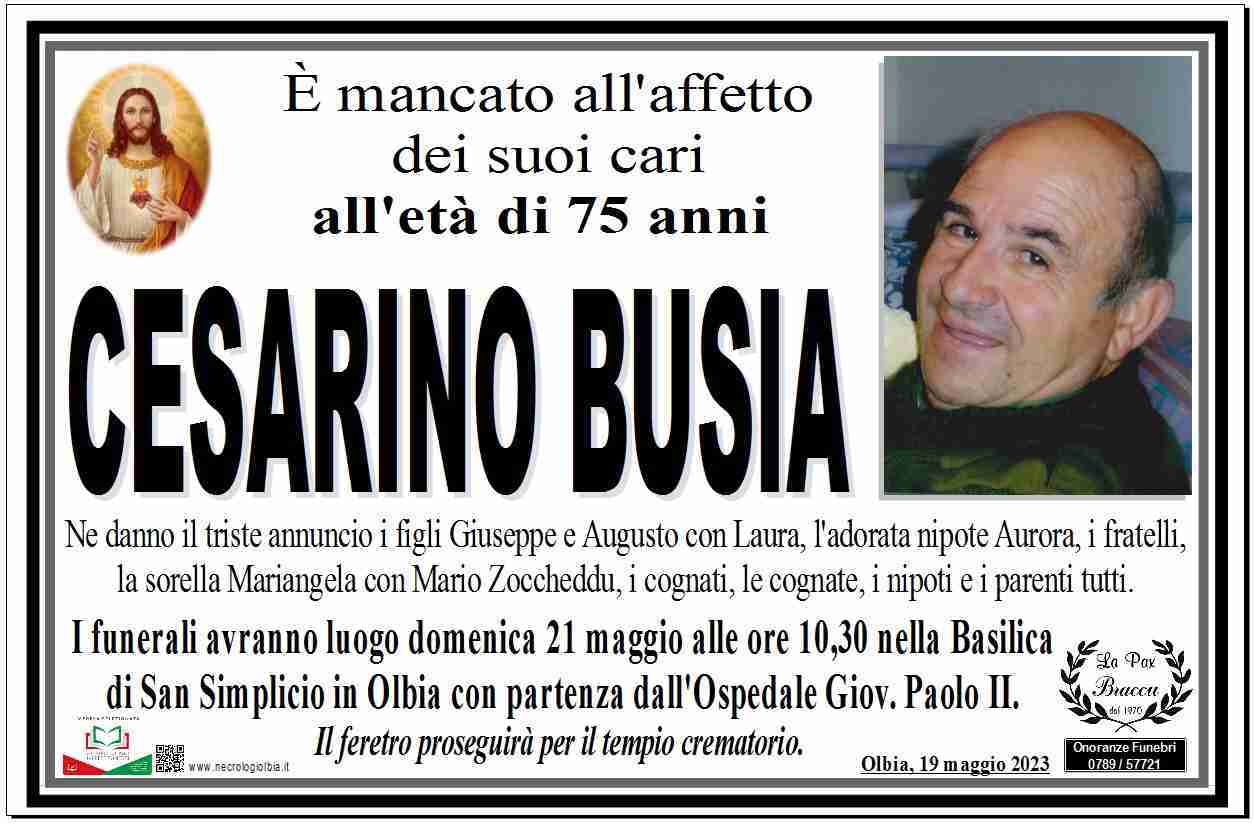 Cesarino Busia