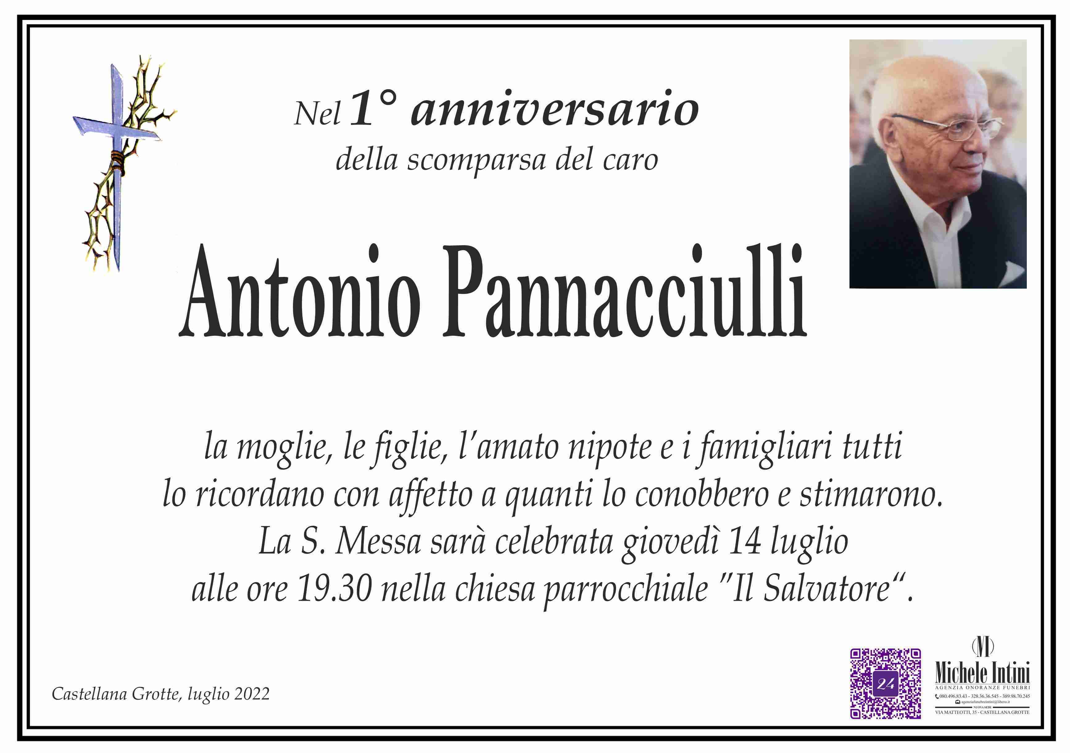 Antonio Pannacciulli