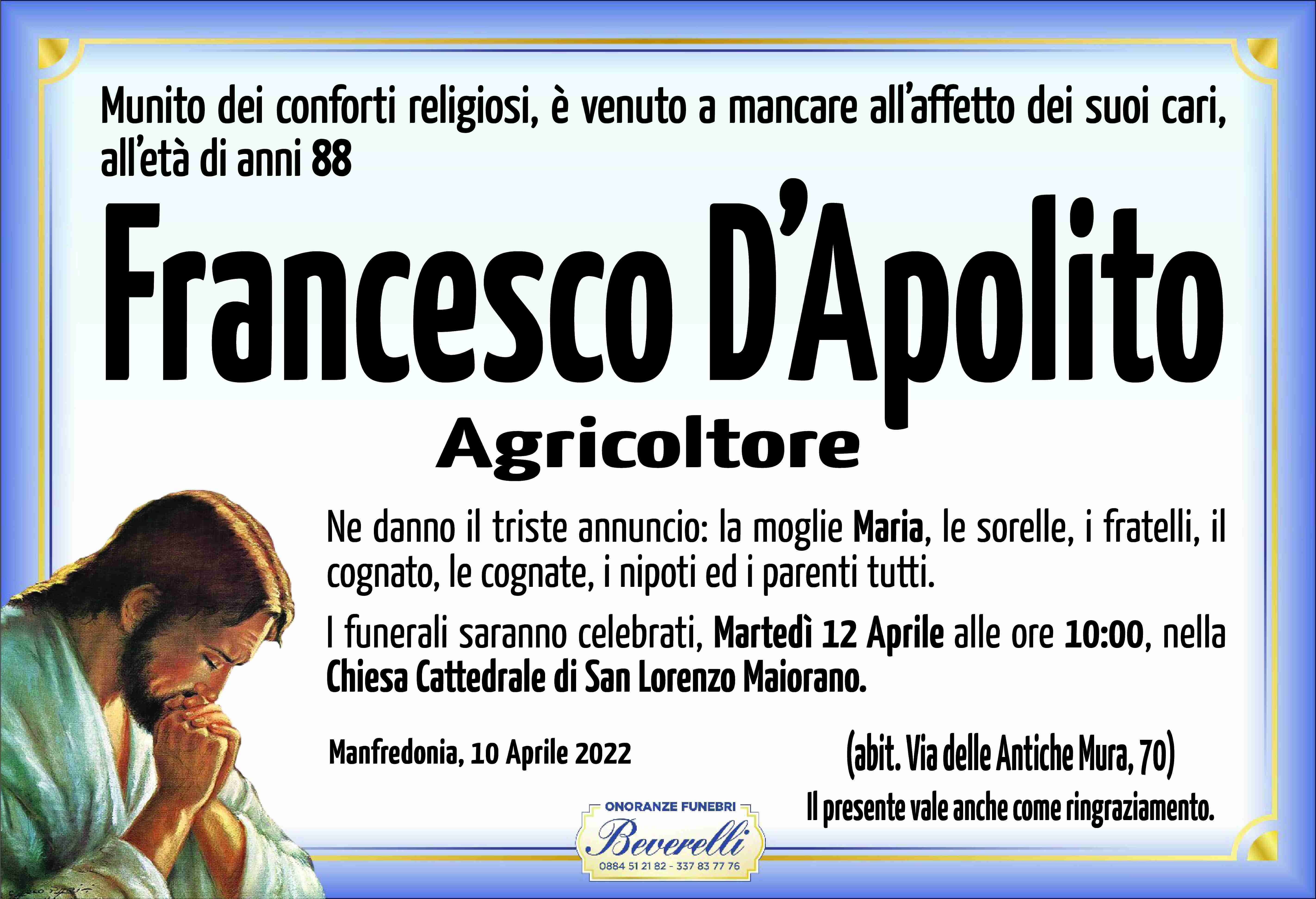 Francesco D'Apolito