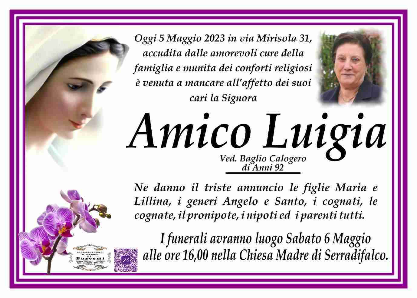 Luigia Amico