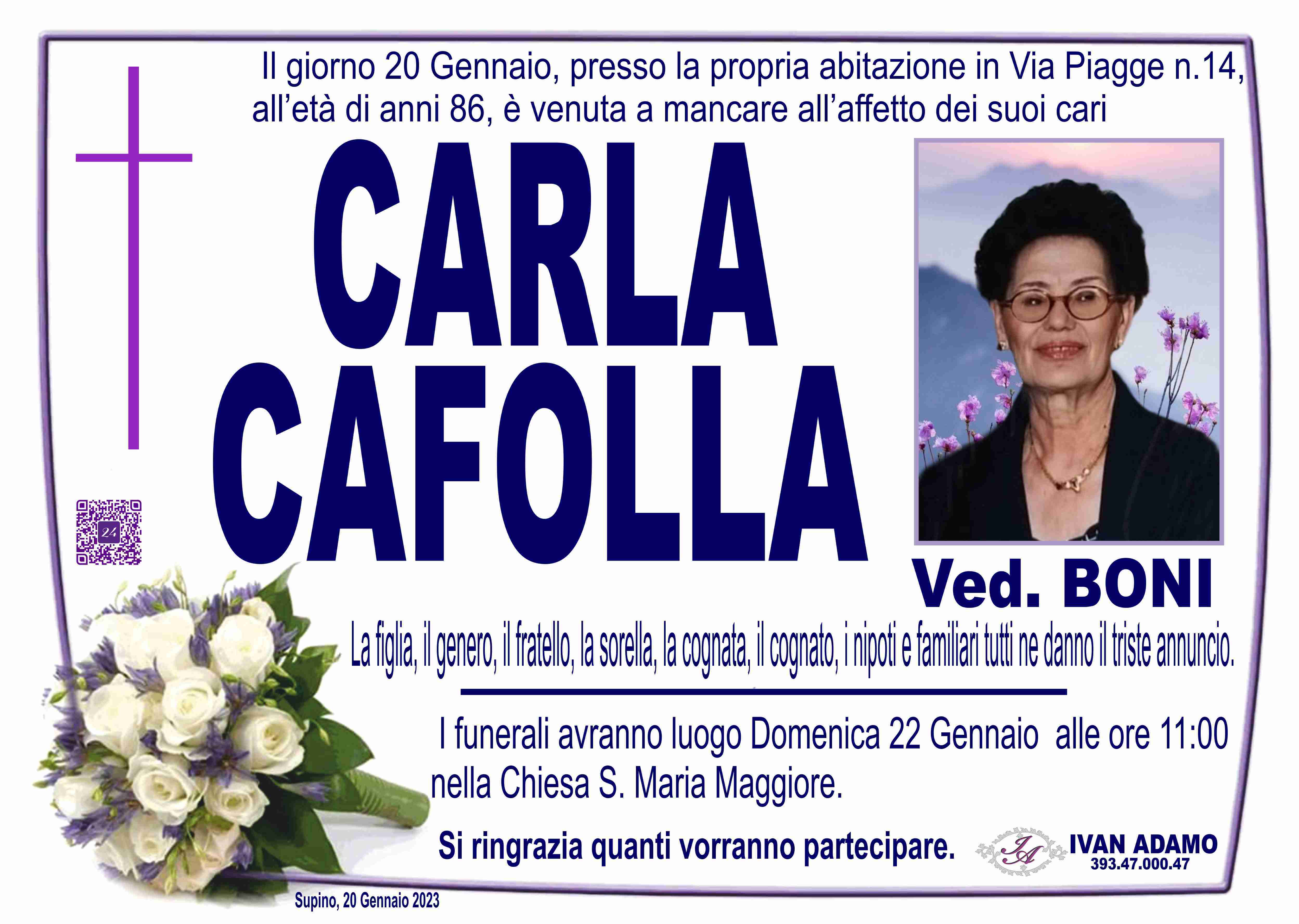 Carla Cafolla