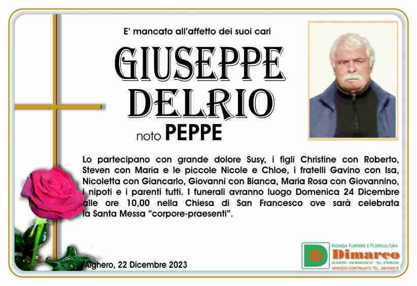 Giuseppe Delrio