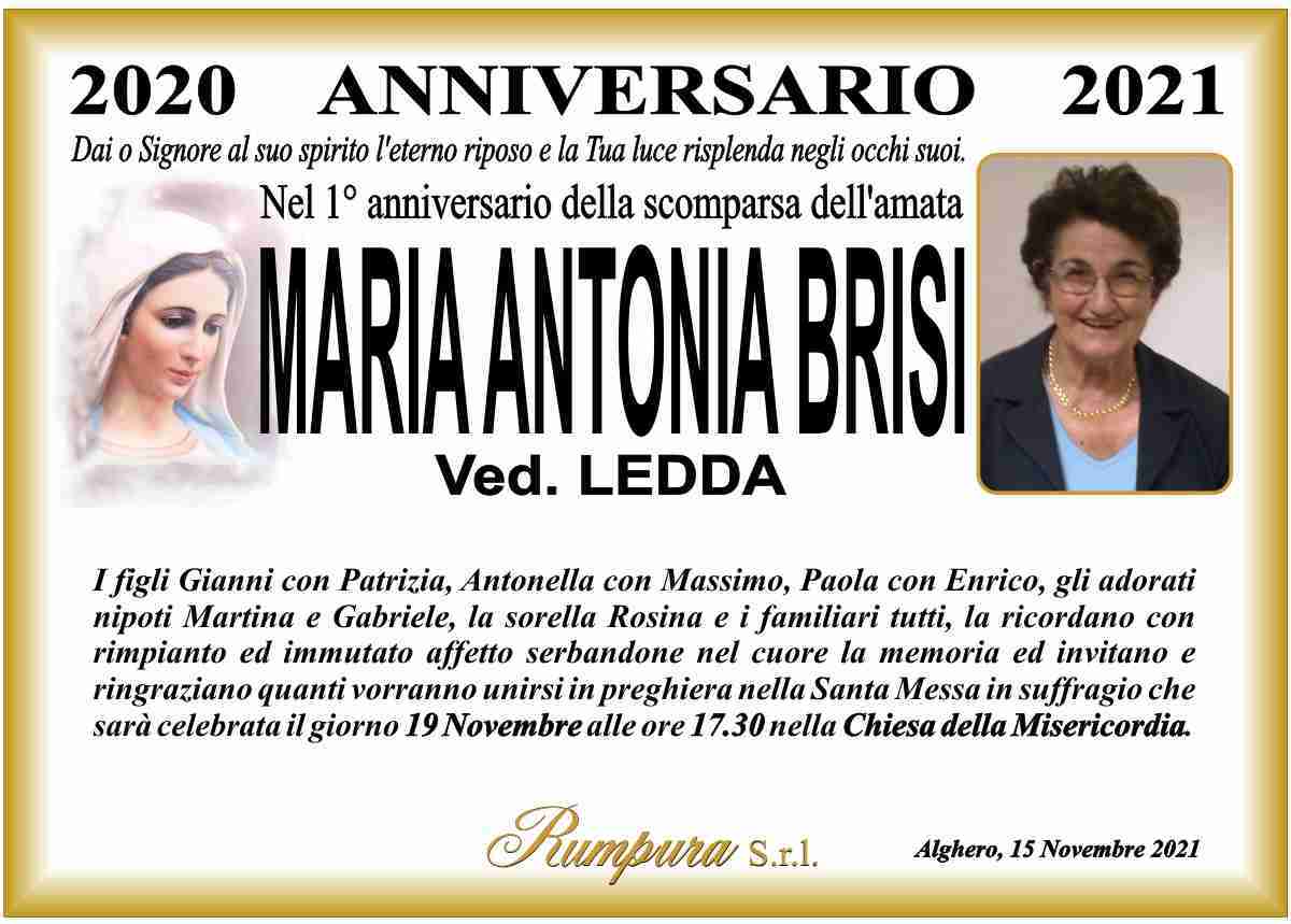 Maria Antonia Brisi