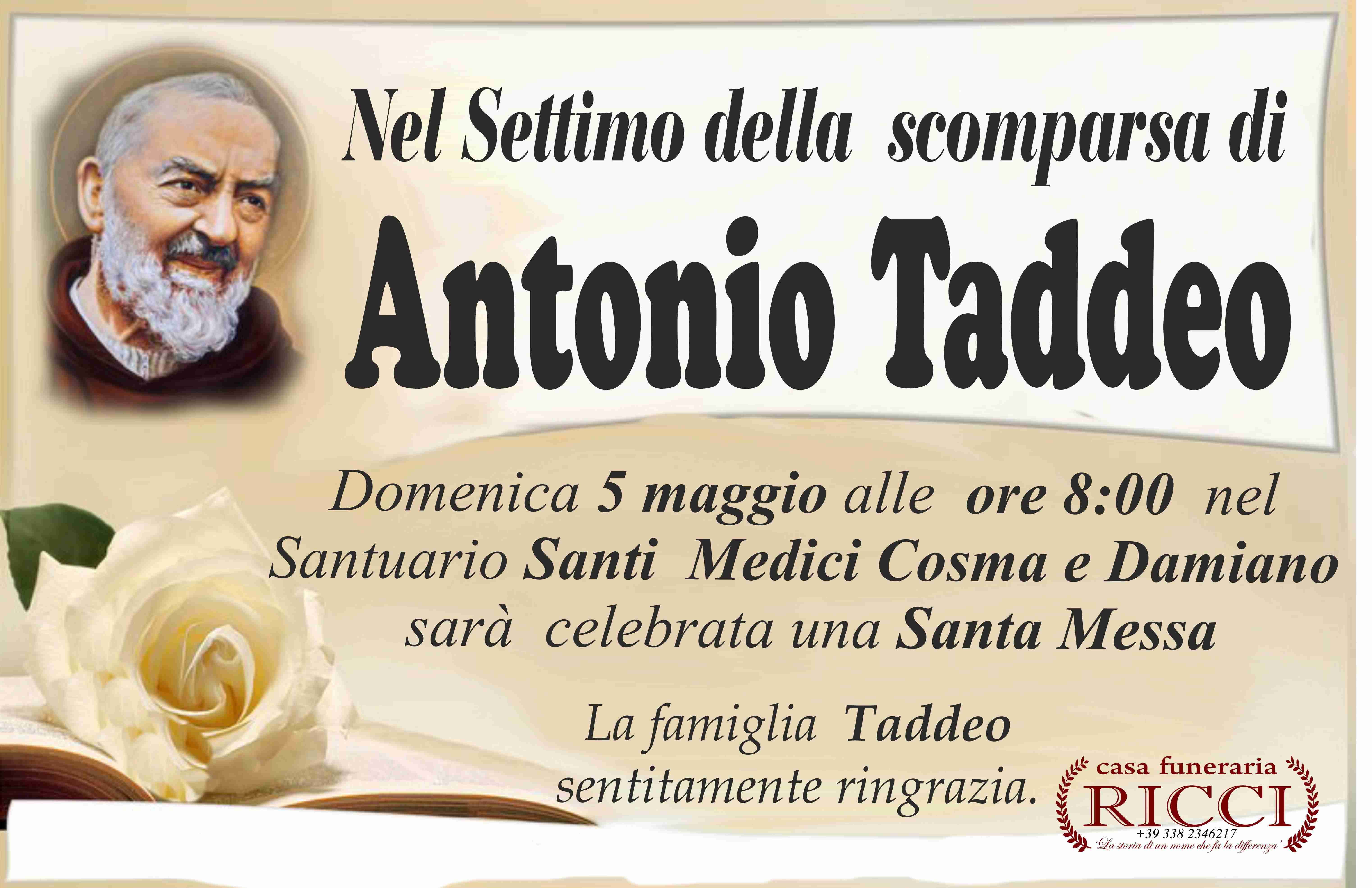 Antonio Taddeo