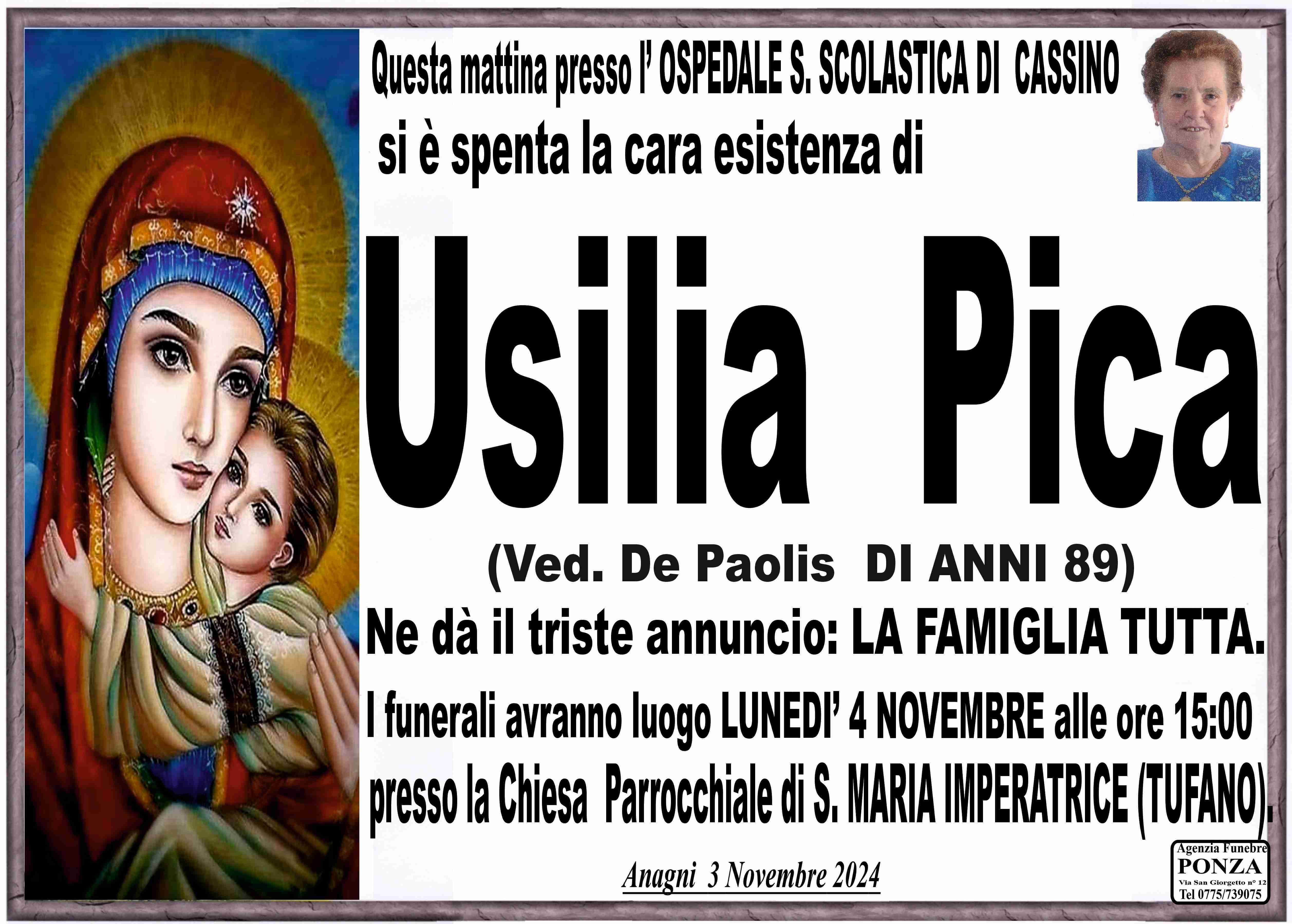 Usilia pica