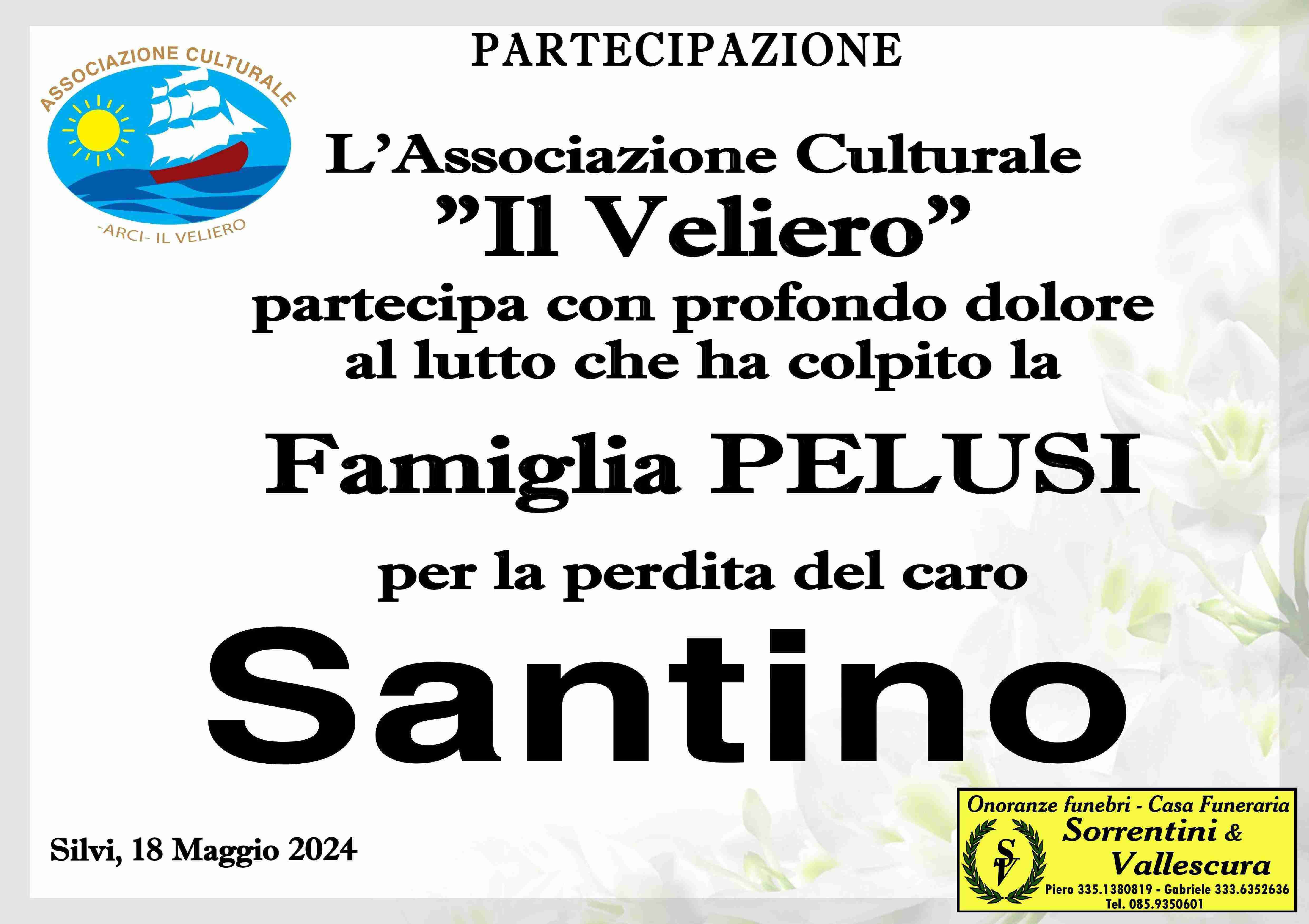 Santino Pelusi