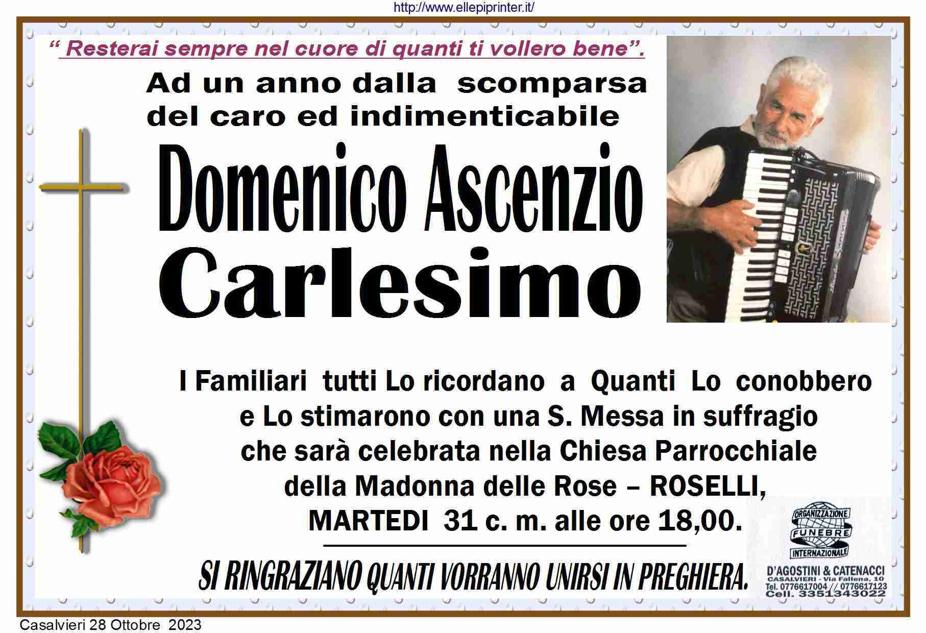 Domenico Ascenzio Carlesimo