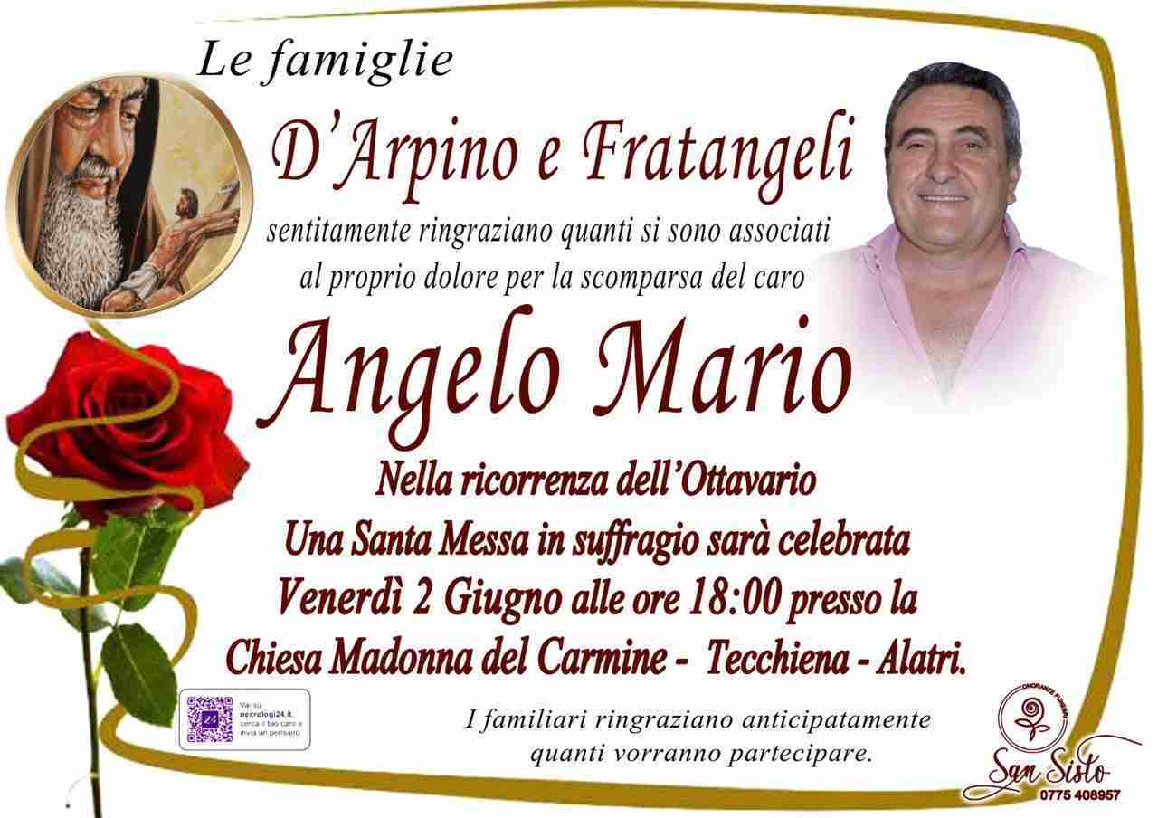 Angelo Mario D'Arpino