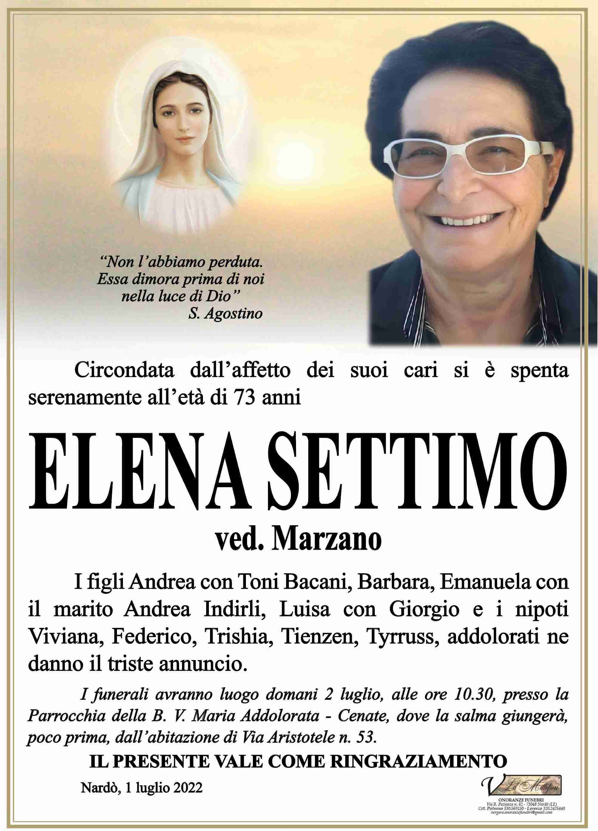 Elena Settimo