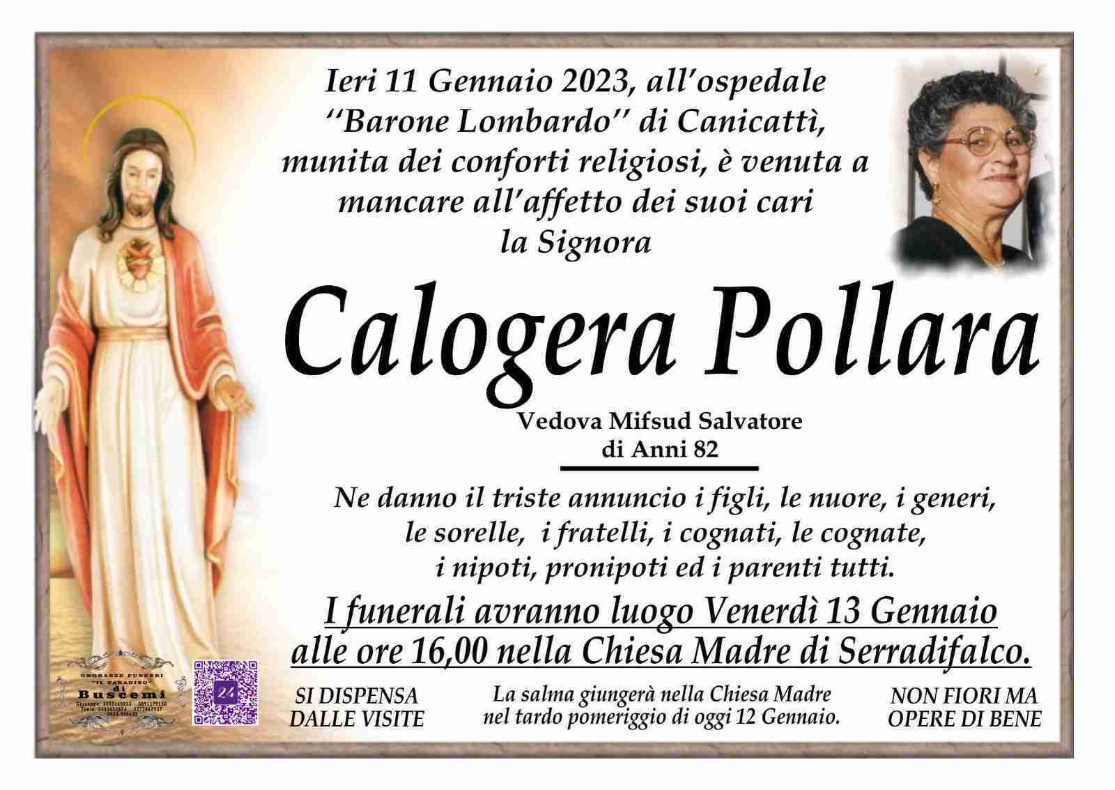Calogera Pollara