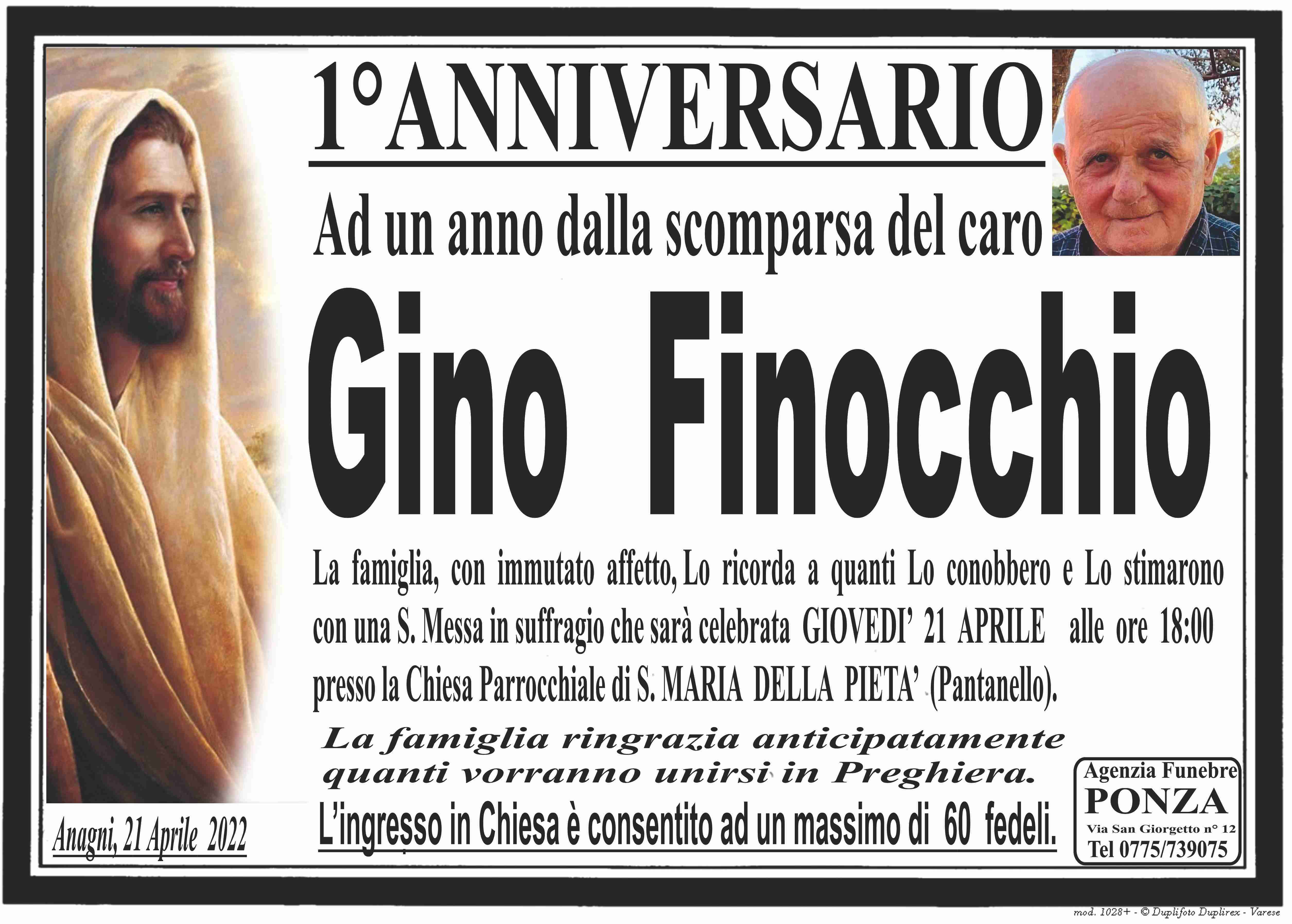 Gino  Finocchio