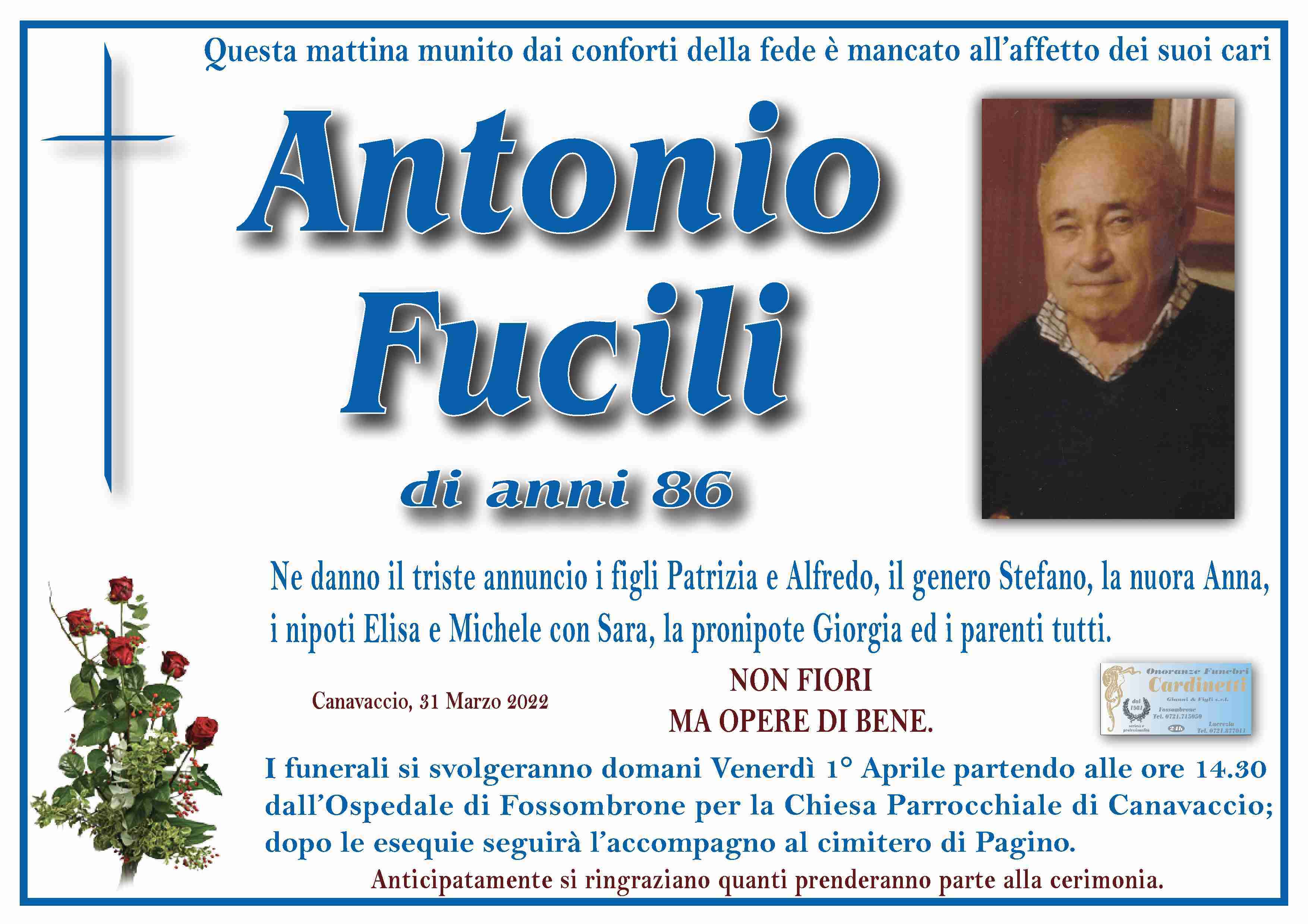 Antonio Fucili
