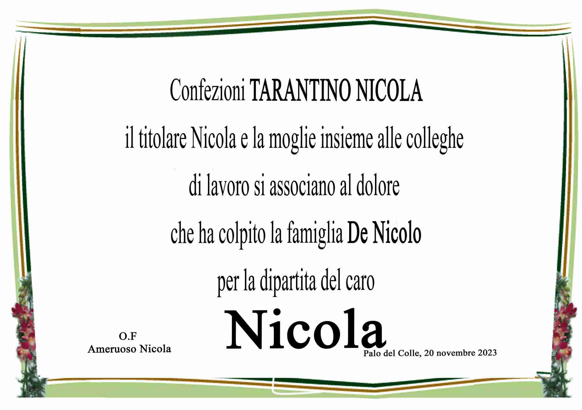 NicolaSante De Nicolo