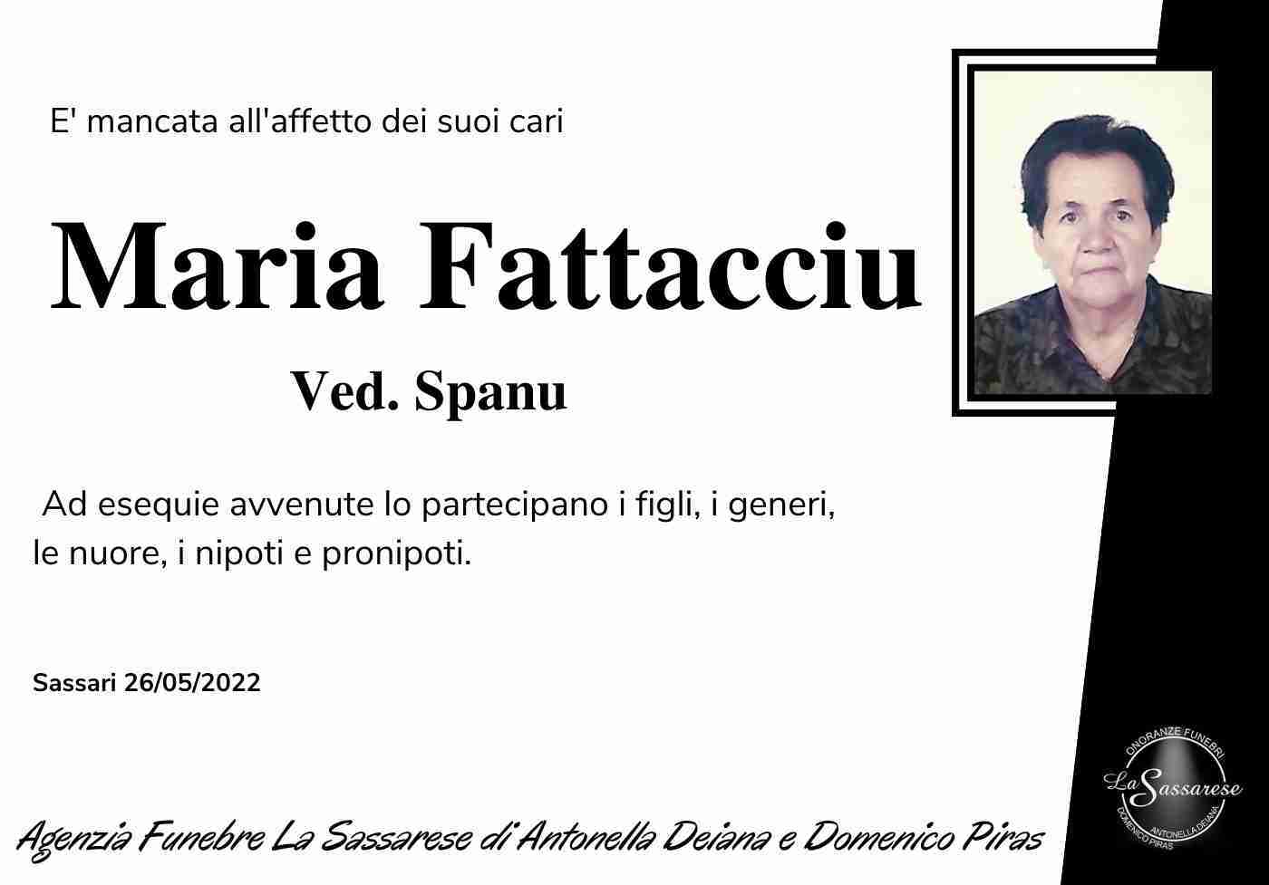 Maria Fattacciu