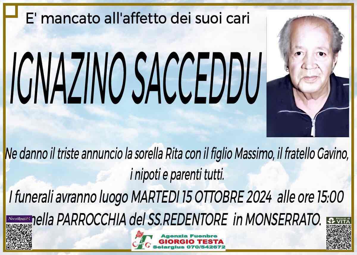 Ignazino Sacceddu