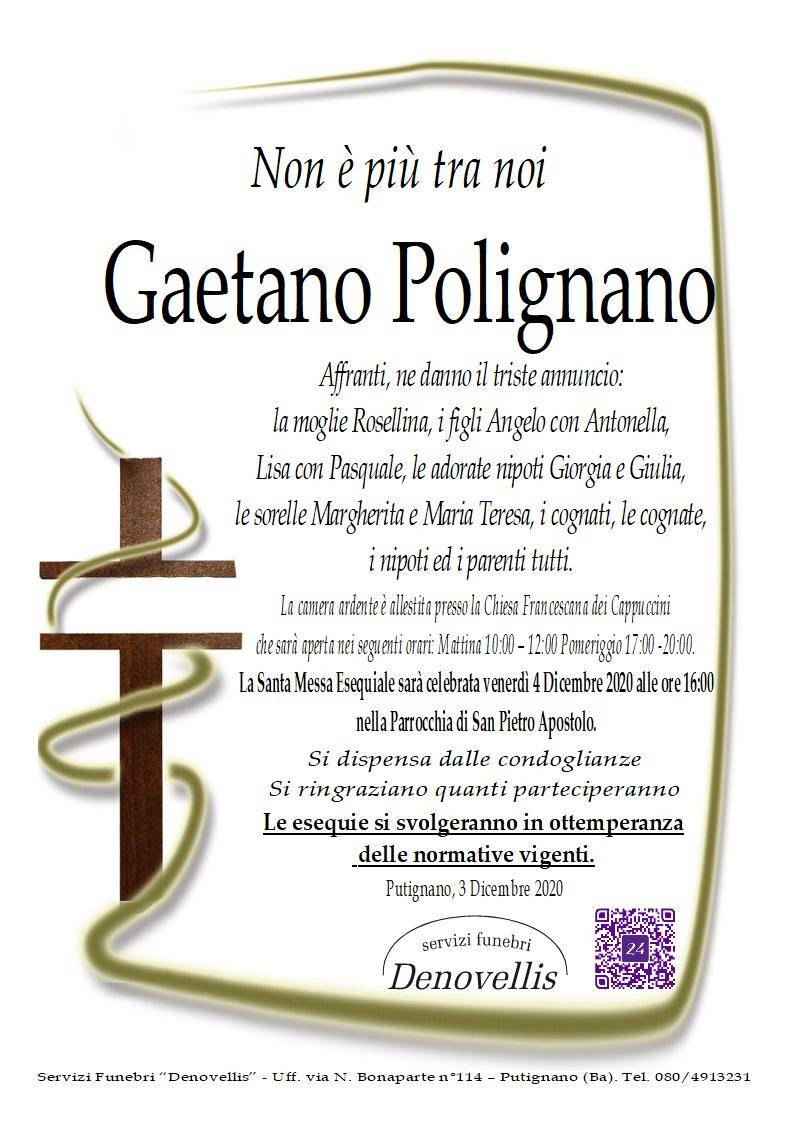 Gaetano Paolo Luigi Polignano