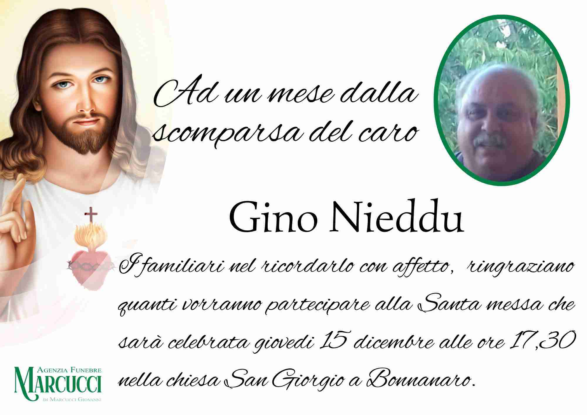 Gino Nieddu