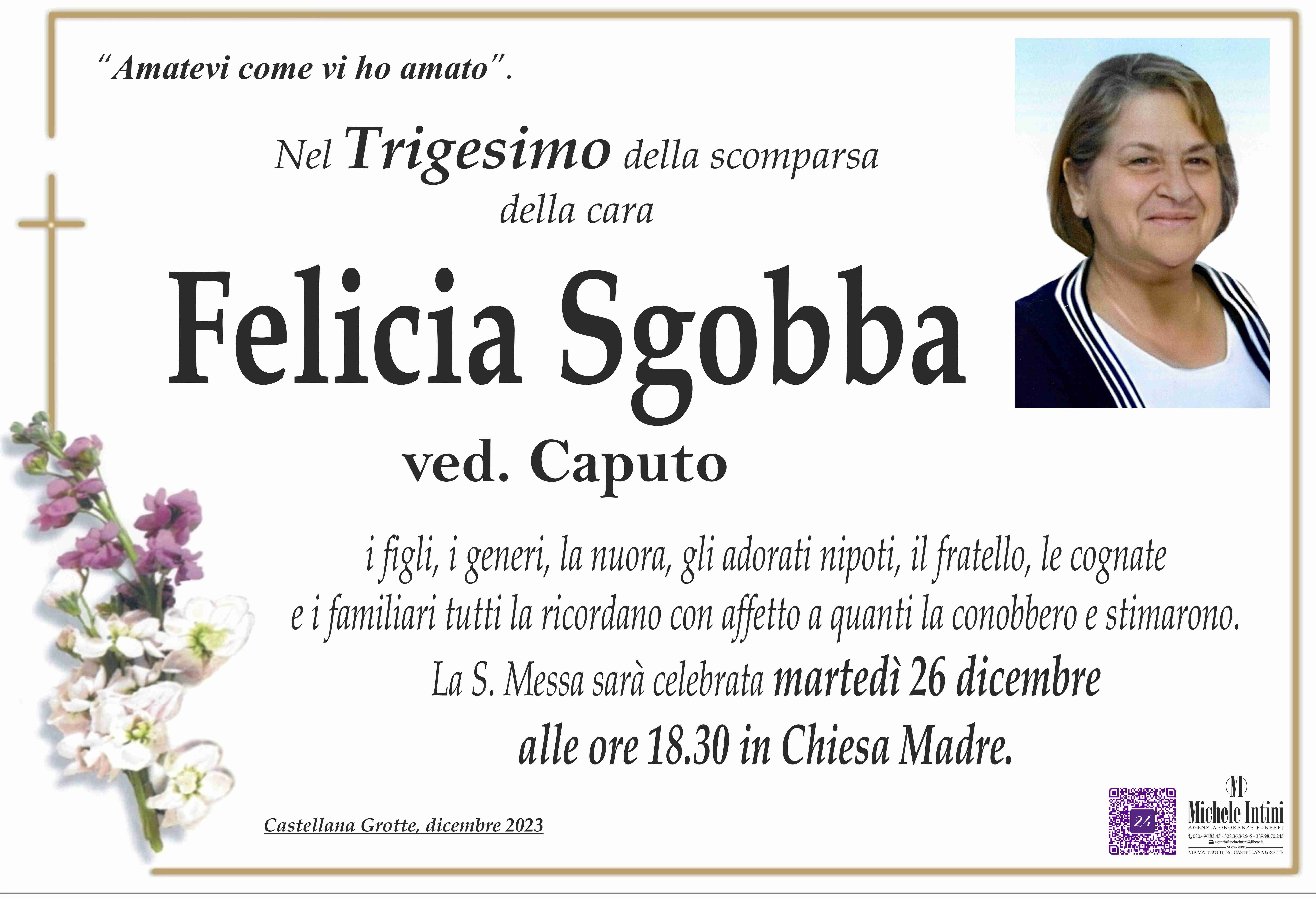 Felicia Sgobba