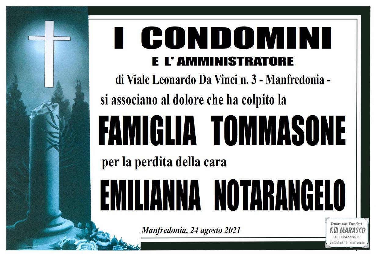 I condomini e l'amministratore di Viale Leonardo Da Vinci 3 - Manfredonia