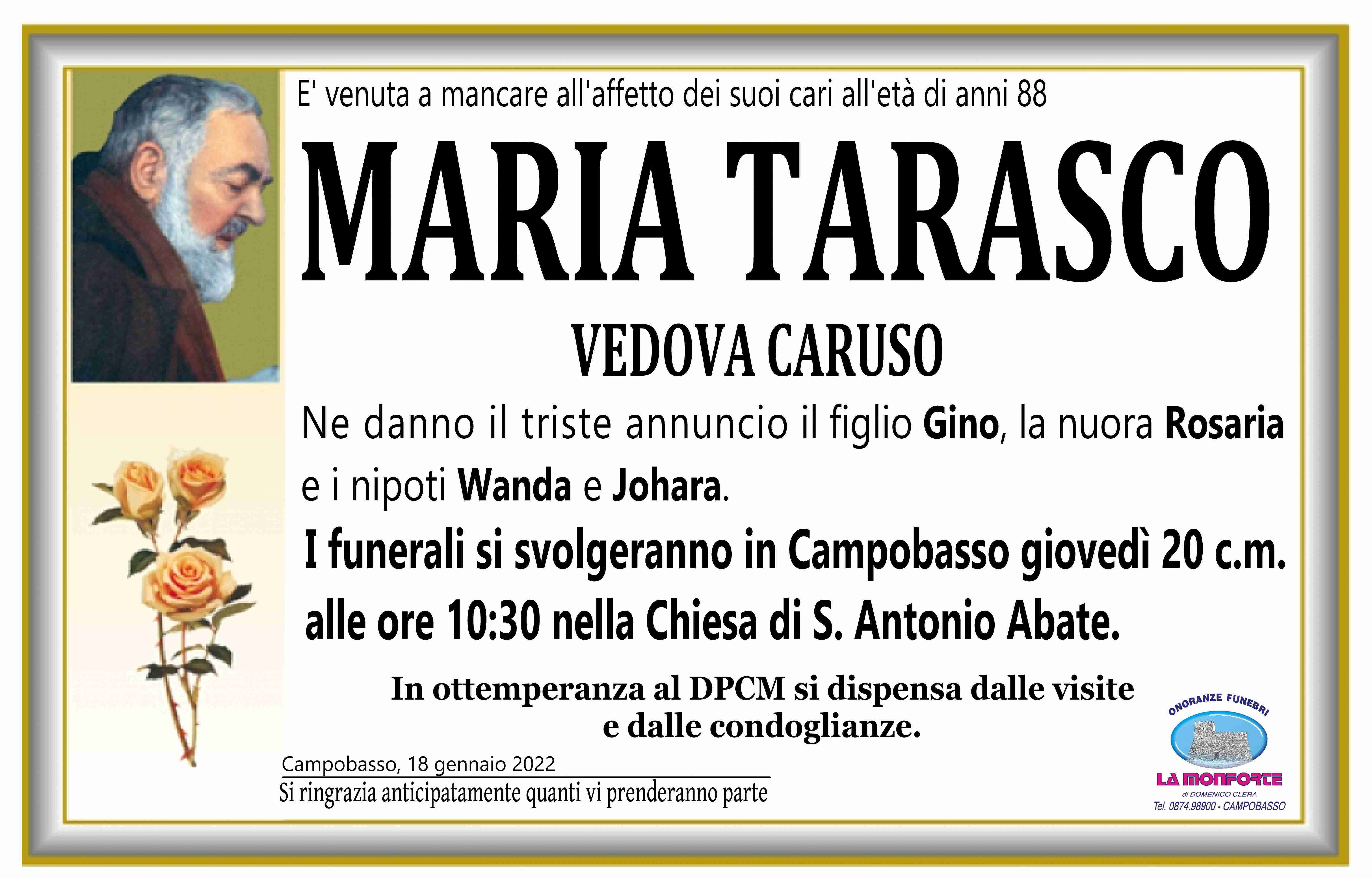 Maria Tarasco
