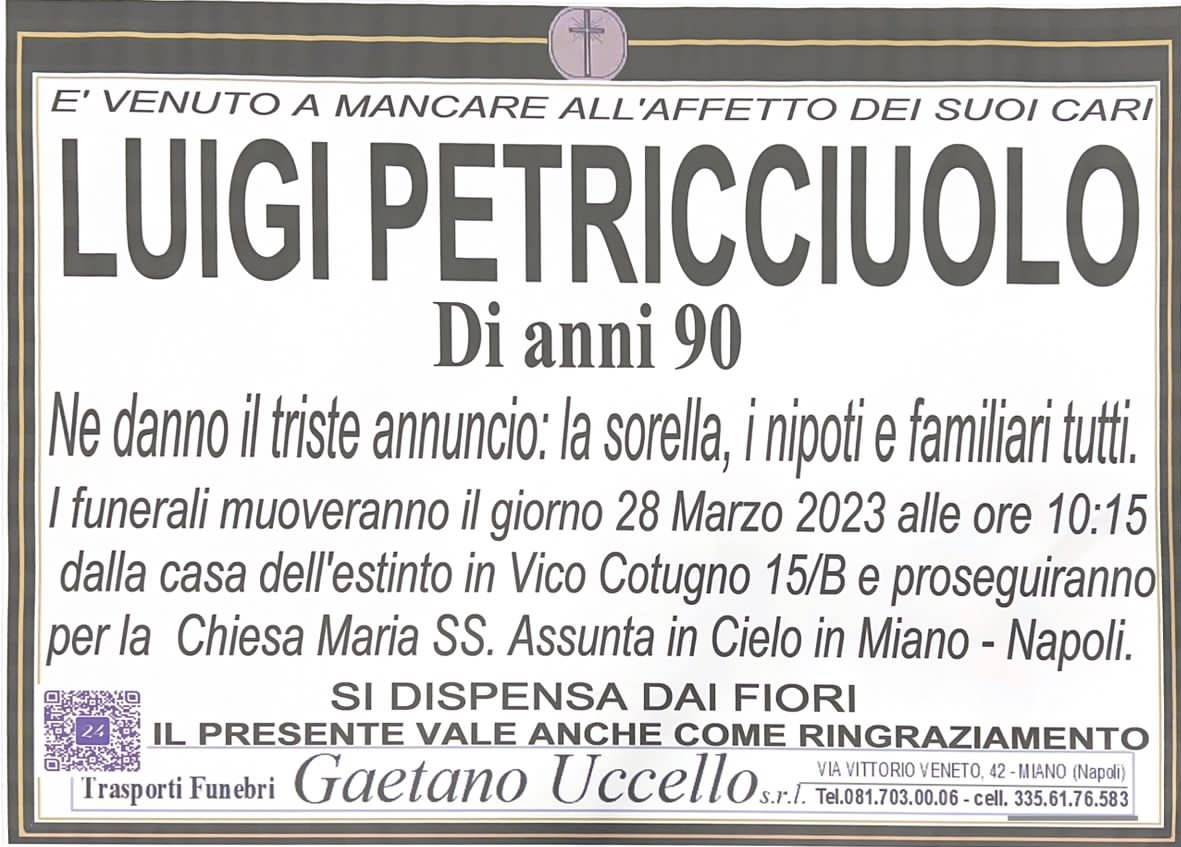 Luigi Petricciulo