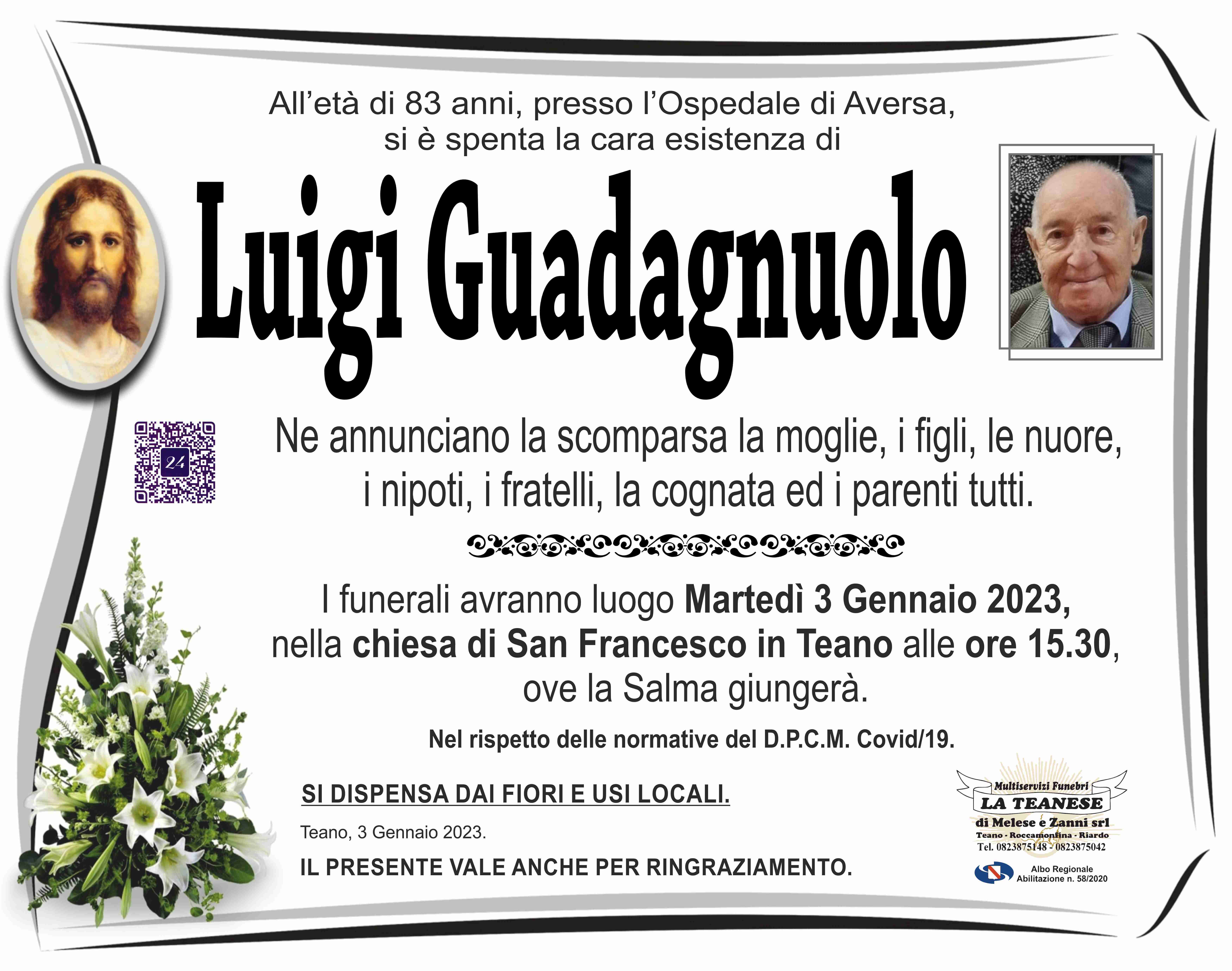 Luigi Guadagnuolo