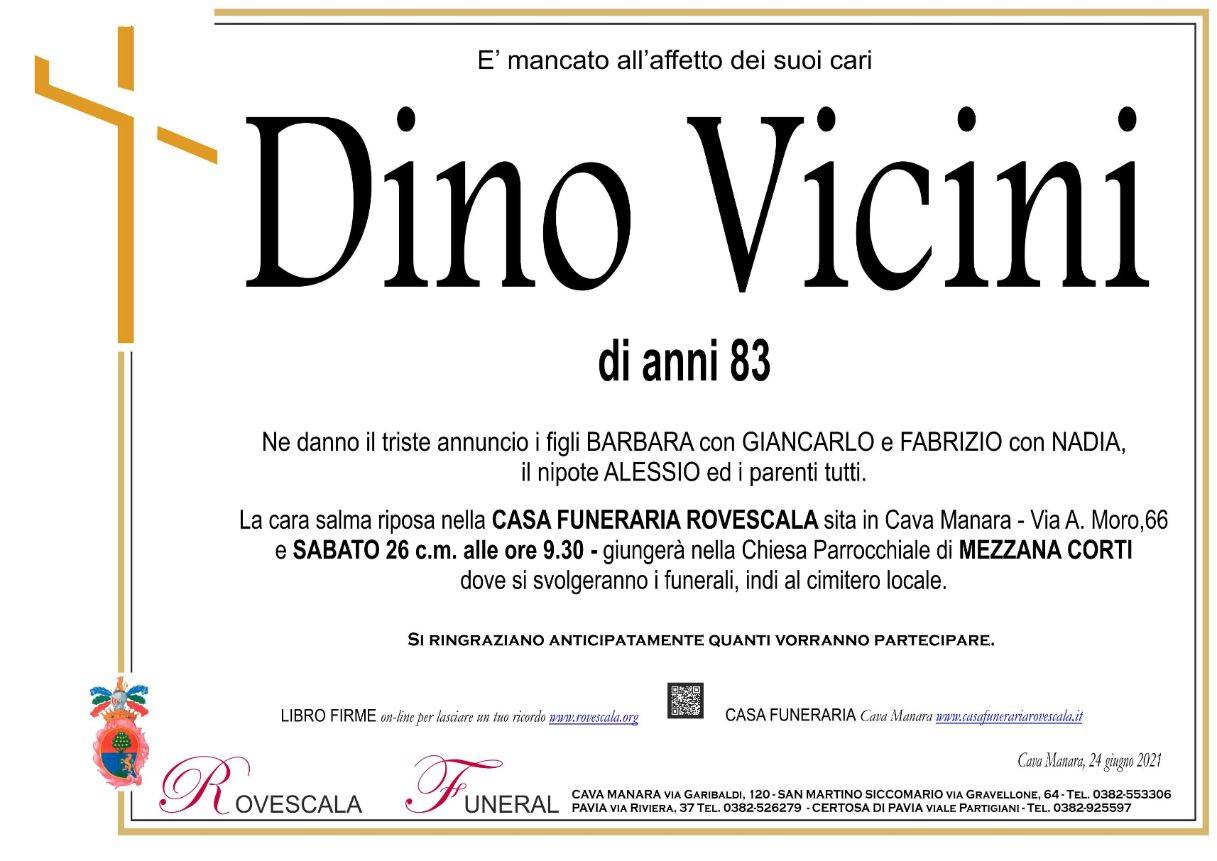 Dino Vicini