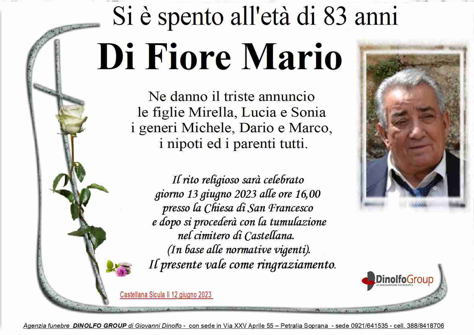 Mario Di Fiore