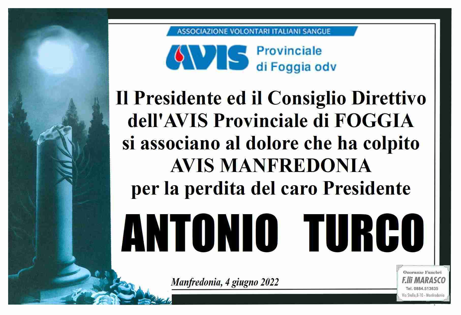 Antonio Turco