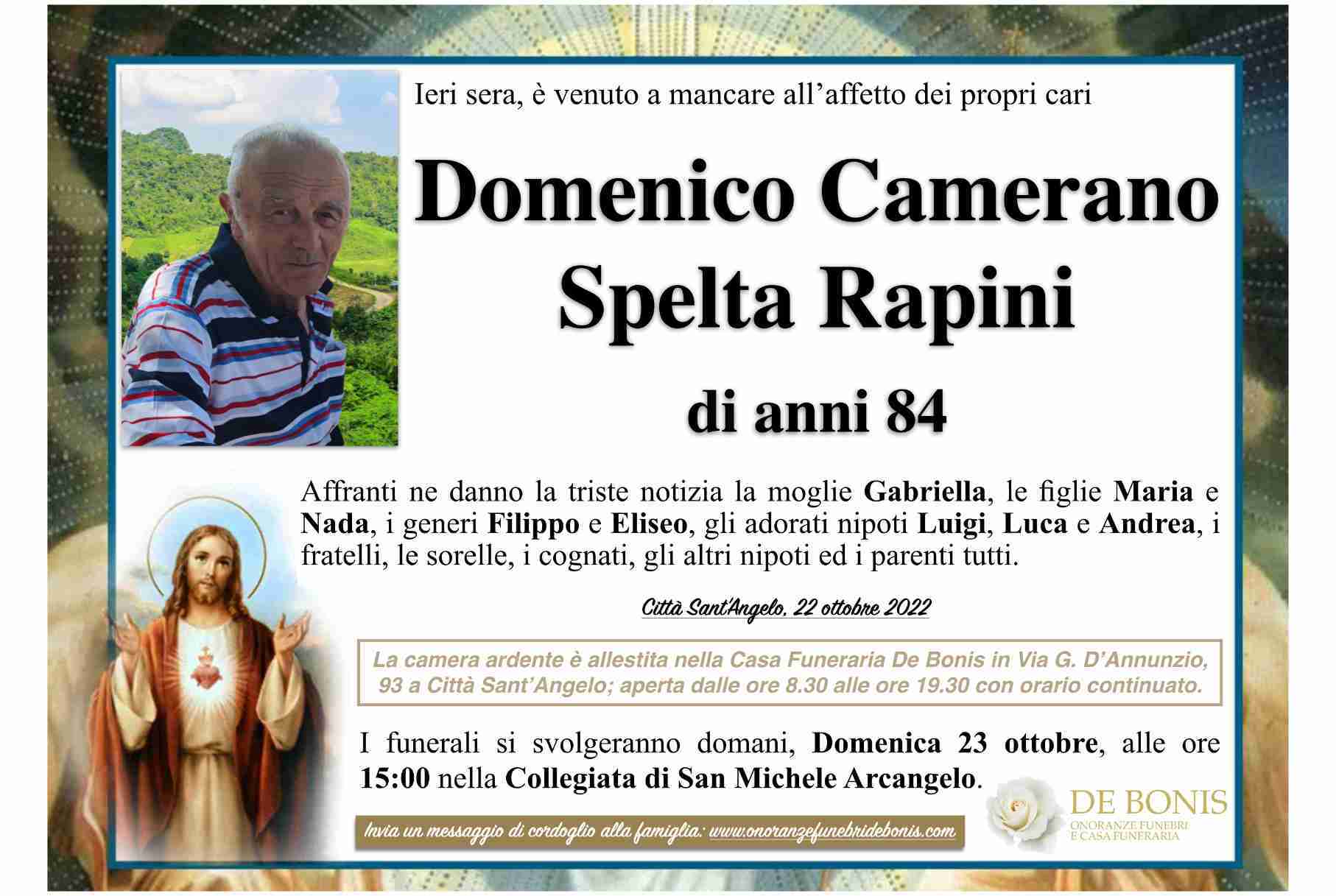 Domenico Camerano Spelta Rapini