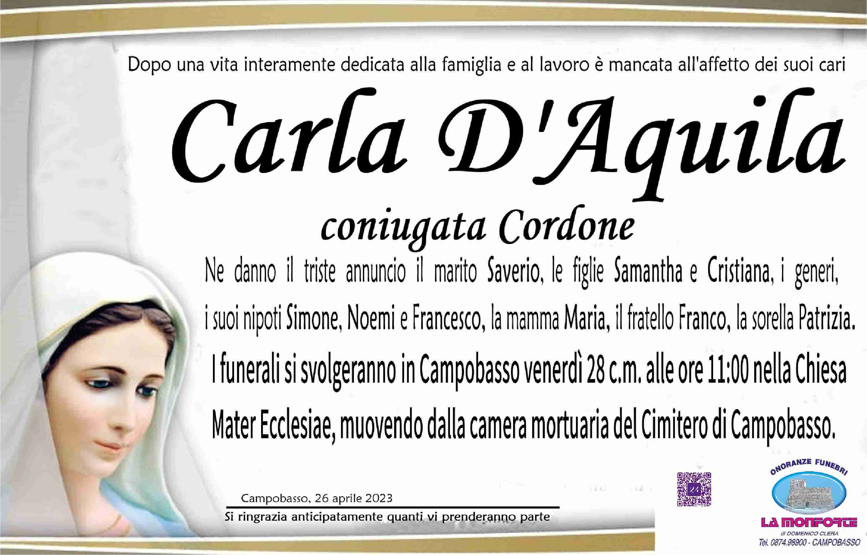 Carla D'Aquila