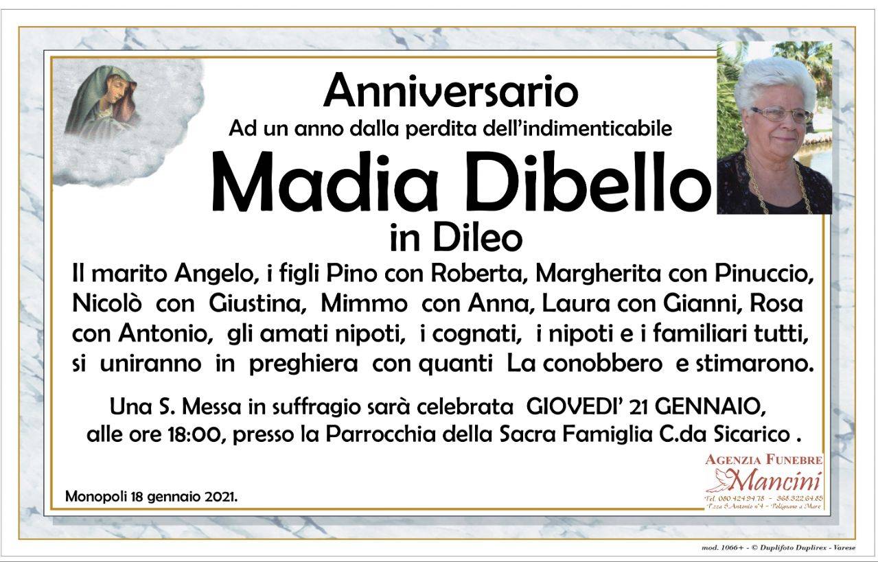 Madia Dibello