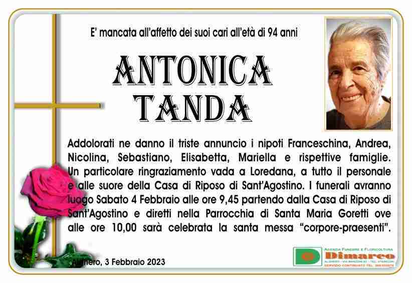 Antonica Tanda