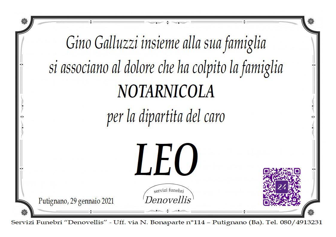 Leo Notarnicola (P2)