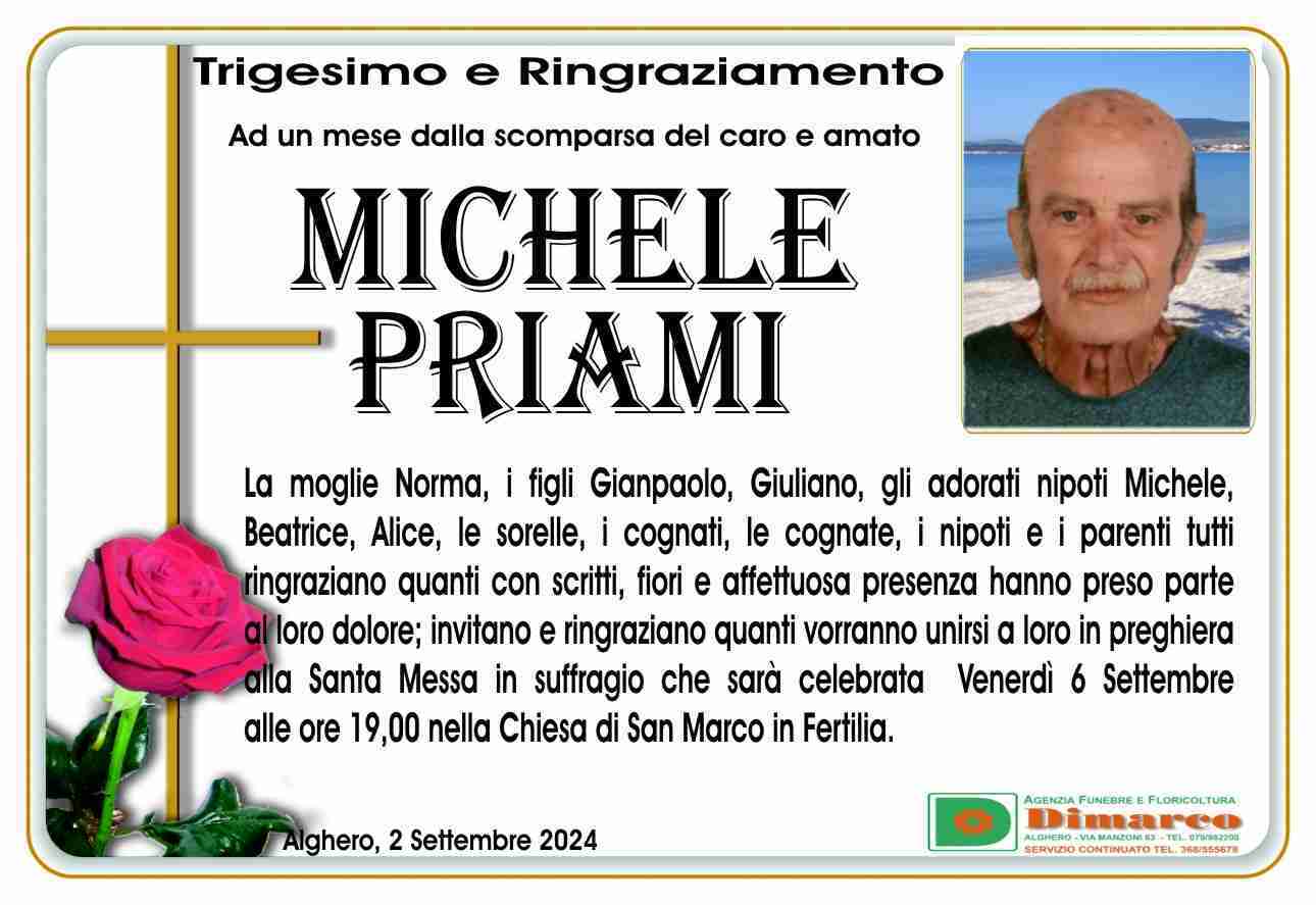 Michele Priami