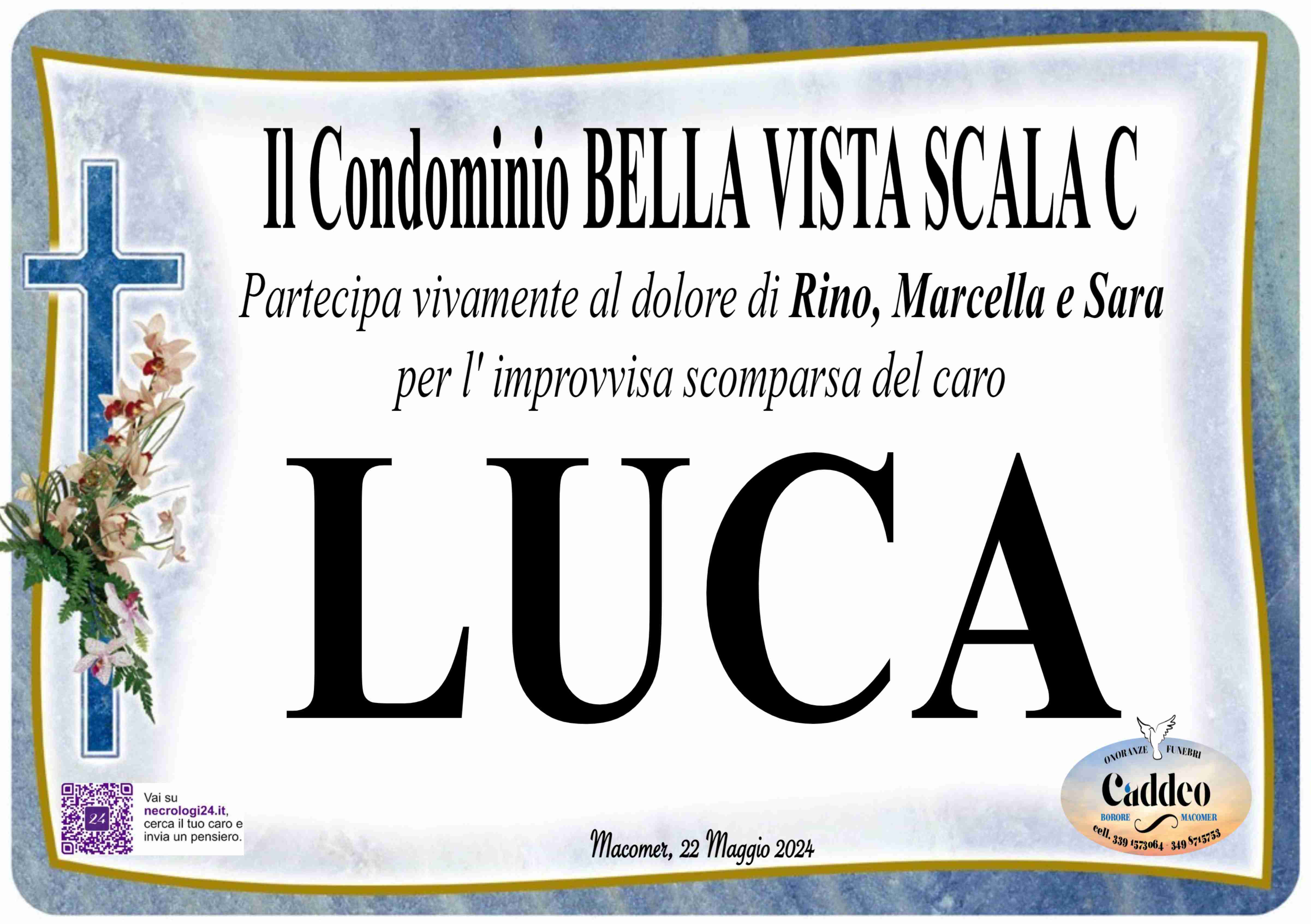 Luca Demontis