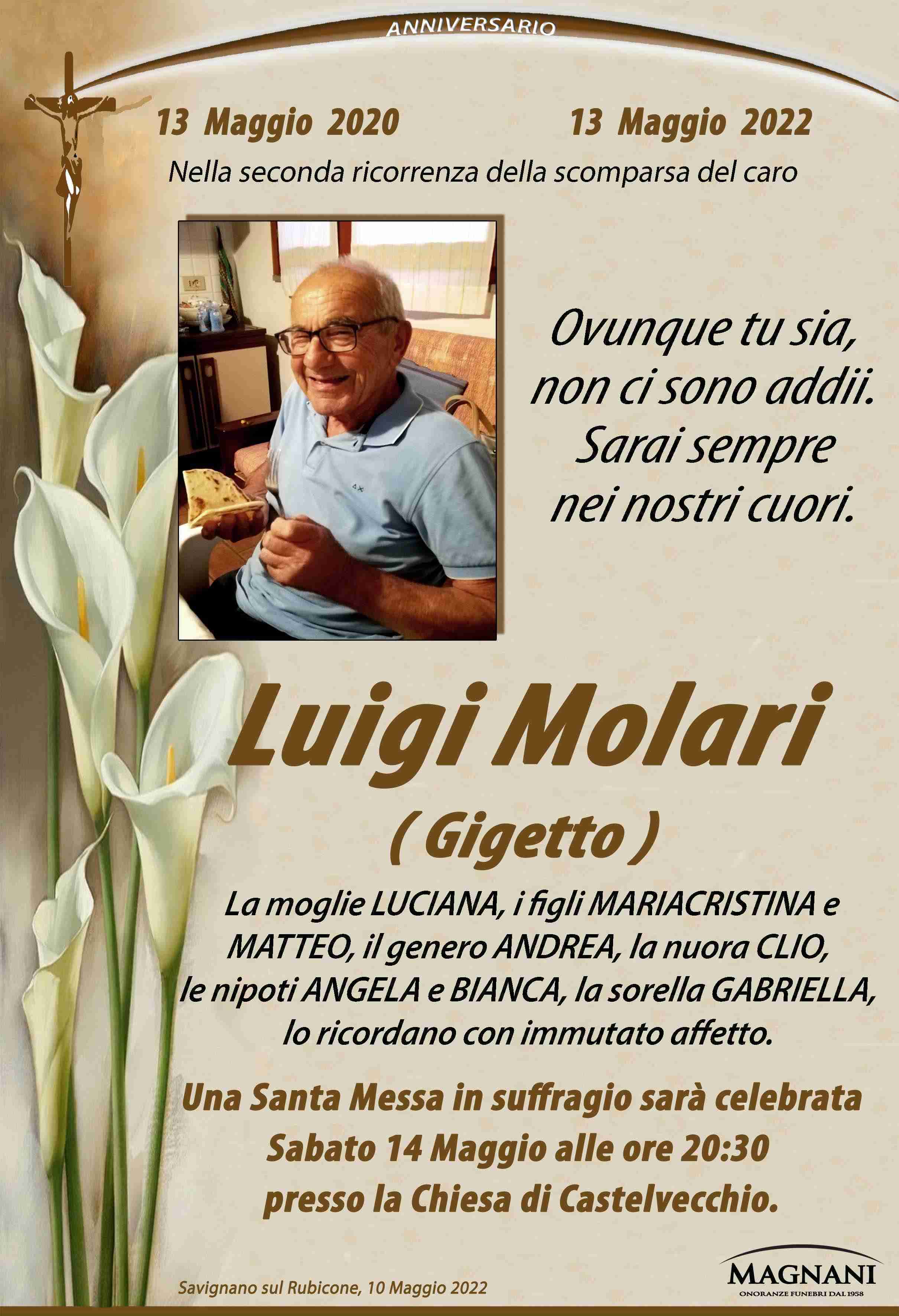 Luigi Molari