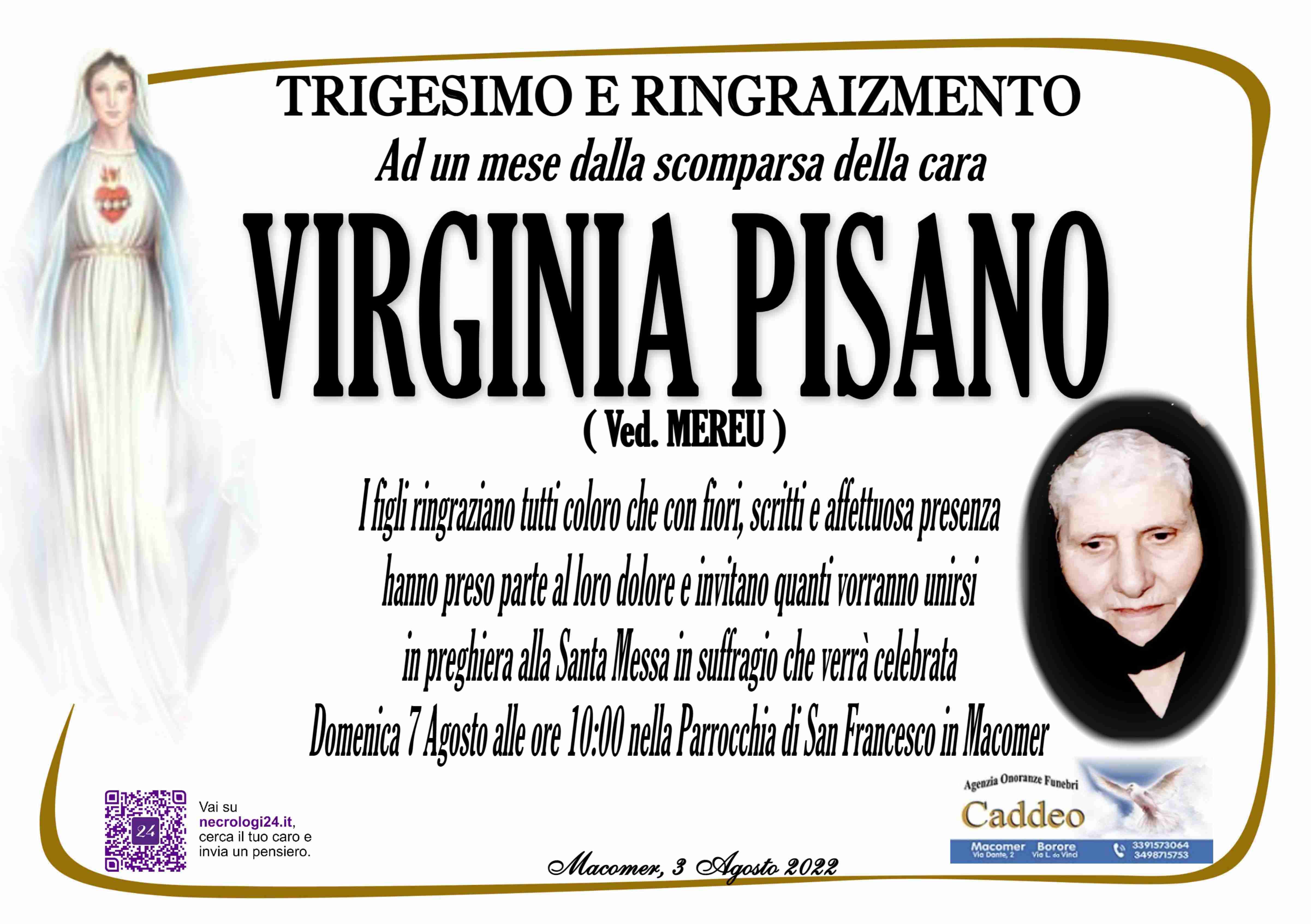 Virginia Pisano