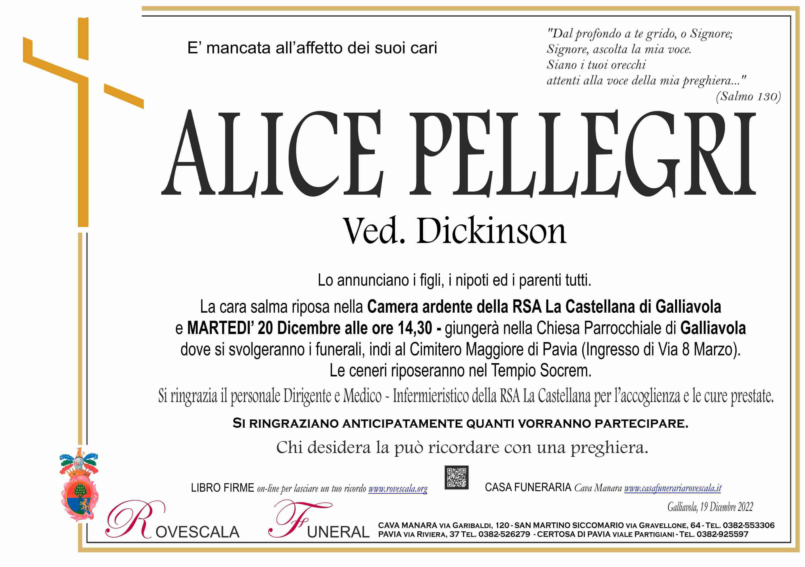 Alice Pellegri