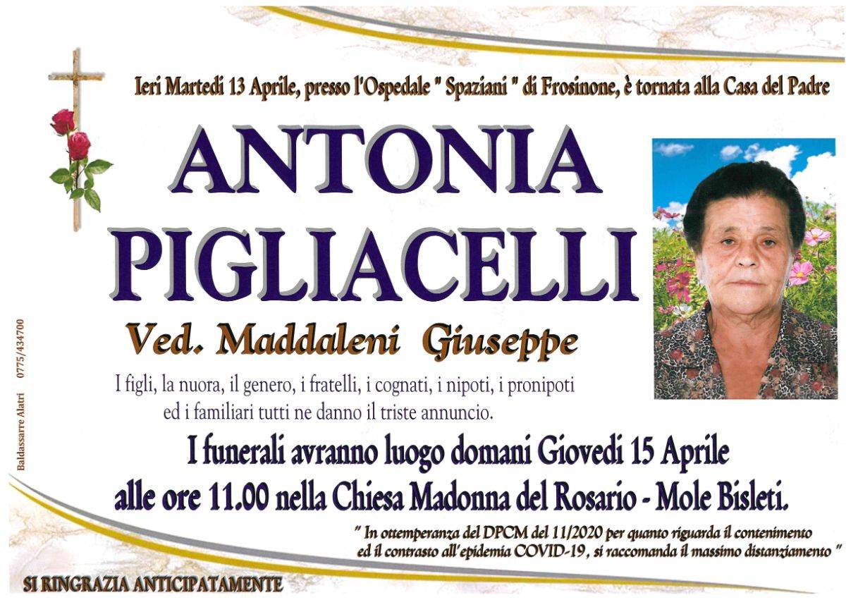 Antonia Pigliacelli