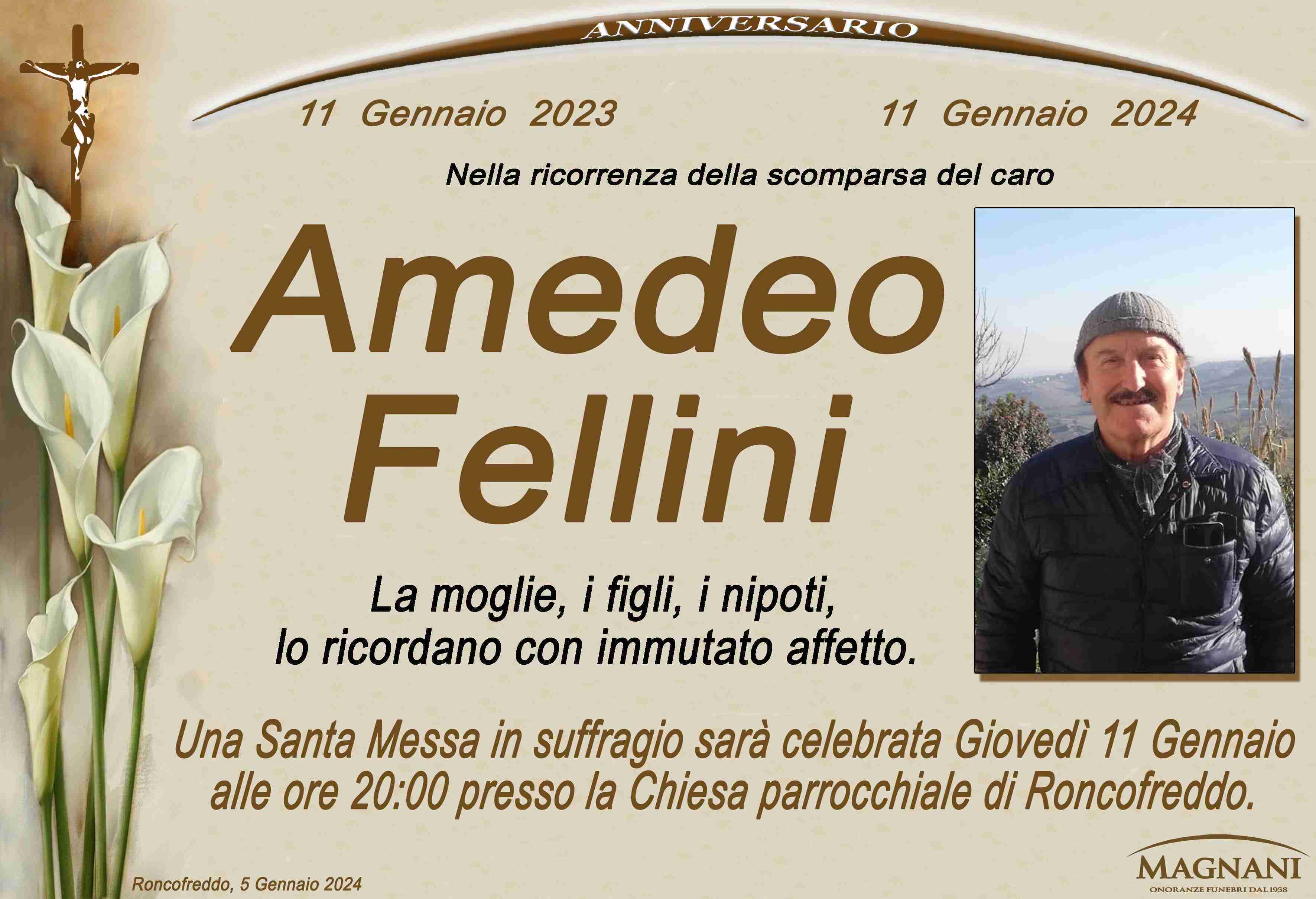Amedeo Fellini