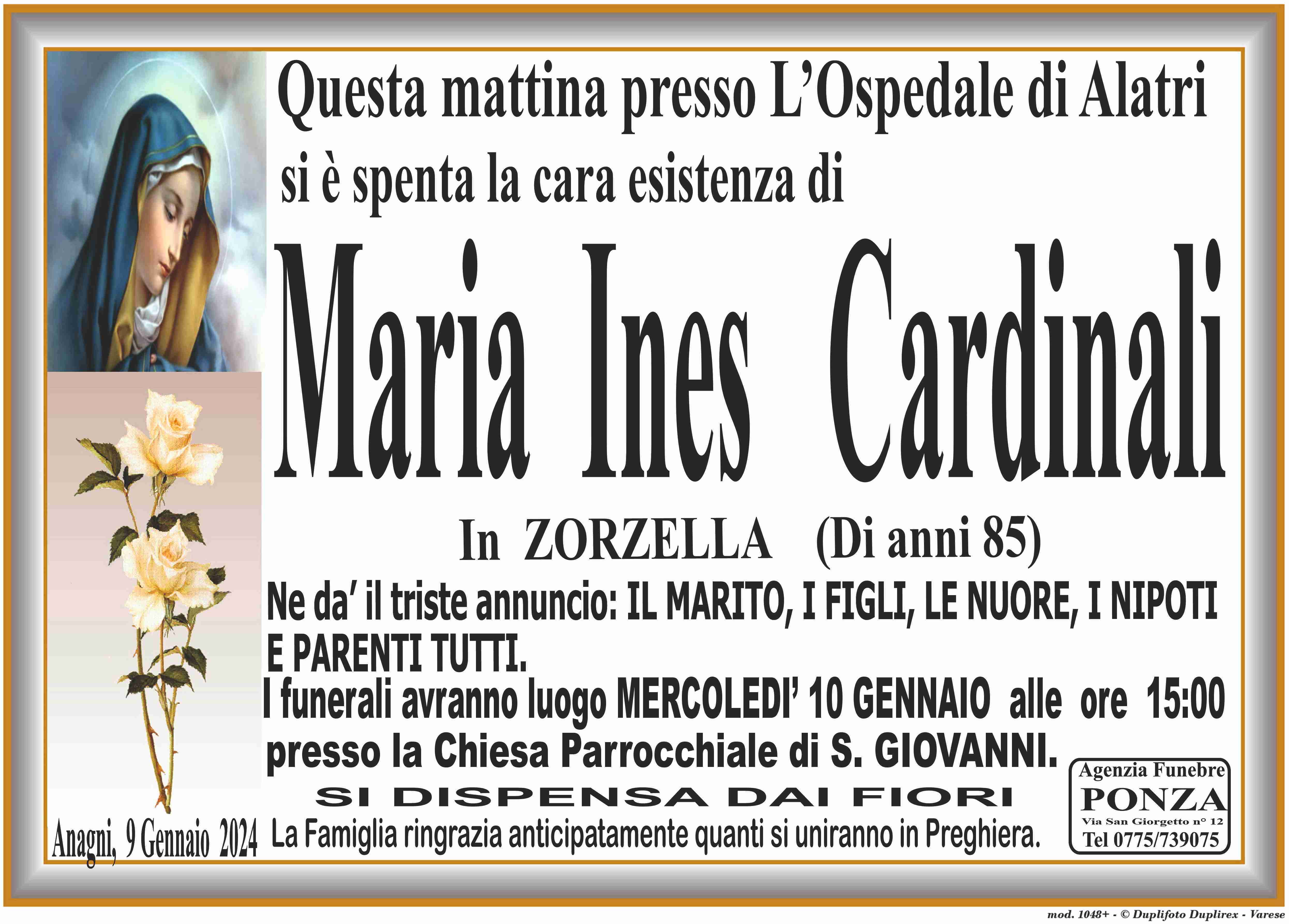 Maria Ines Cardinali