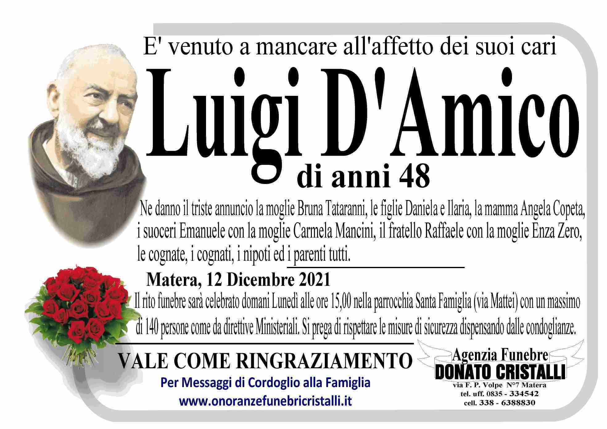 Luigi D'Amico