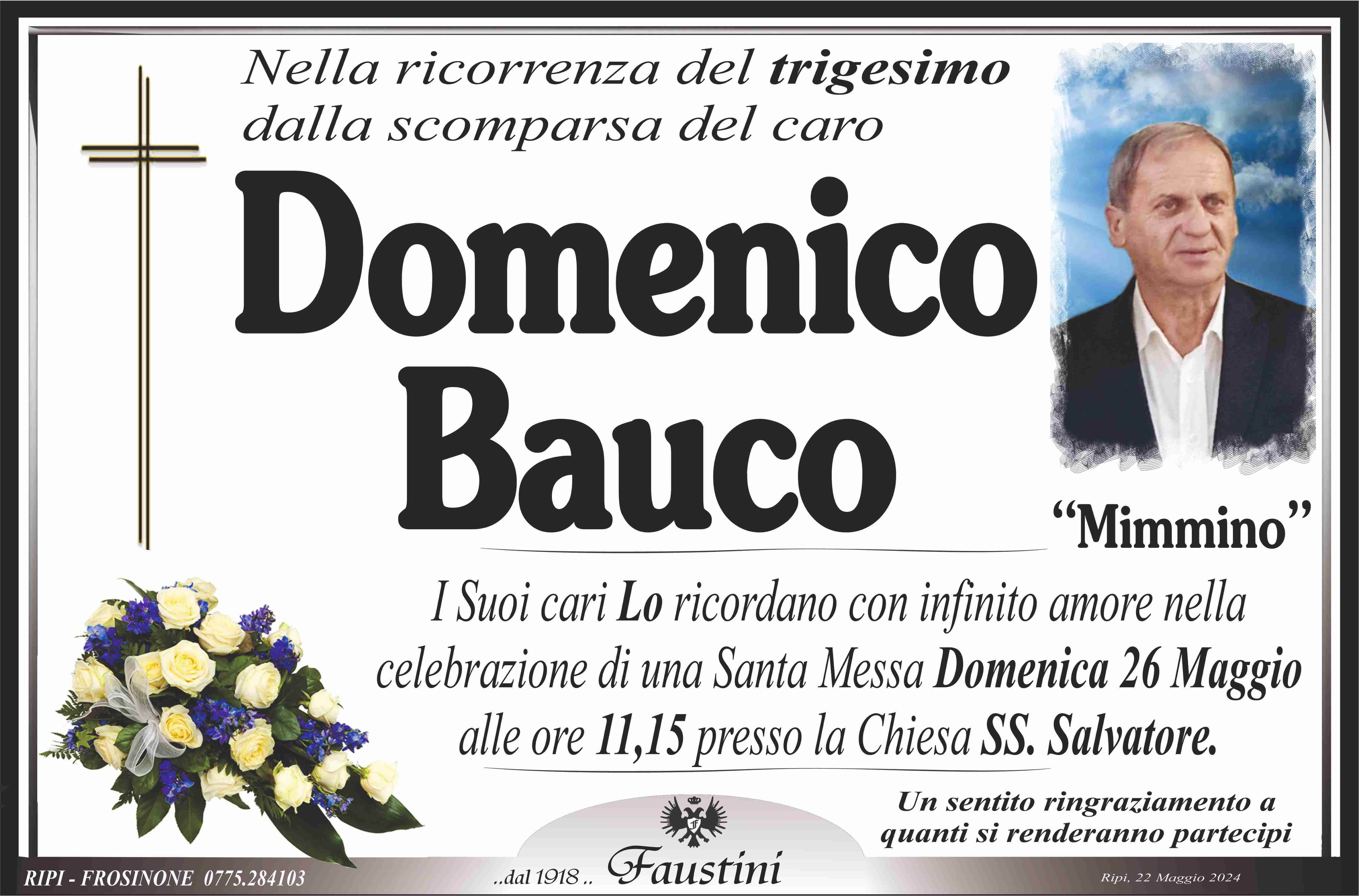 Domenico Bauco