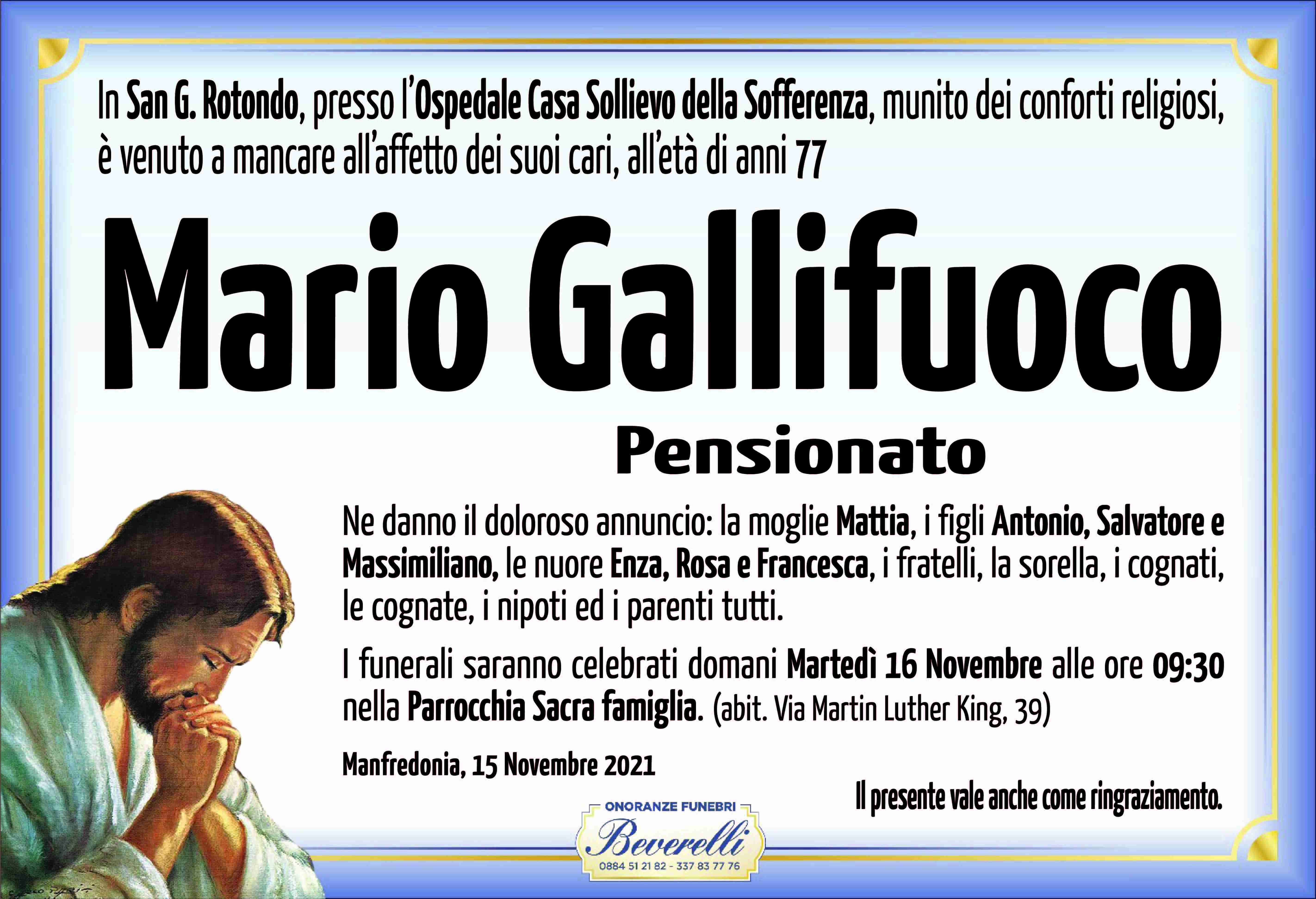 Mario Gallifuoco