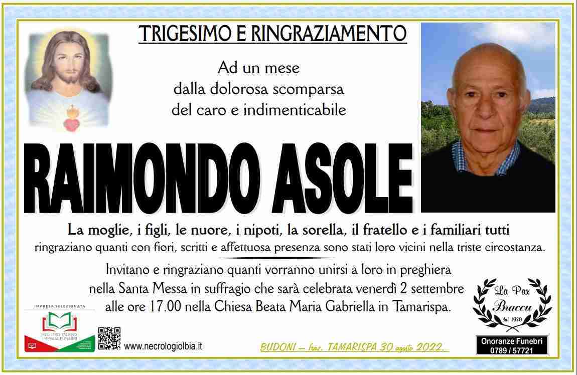 Raimondo Asole